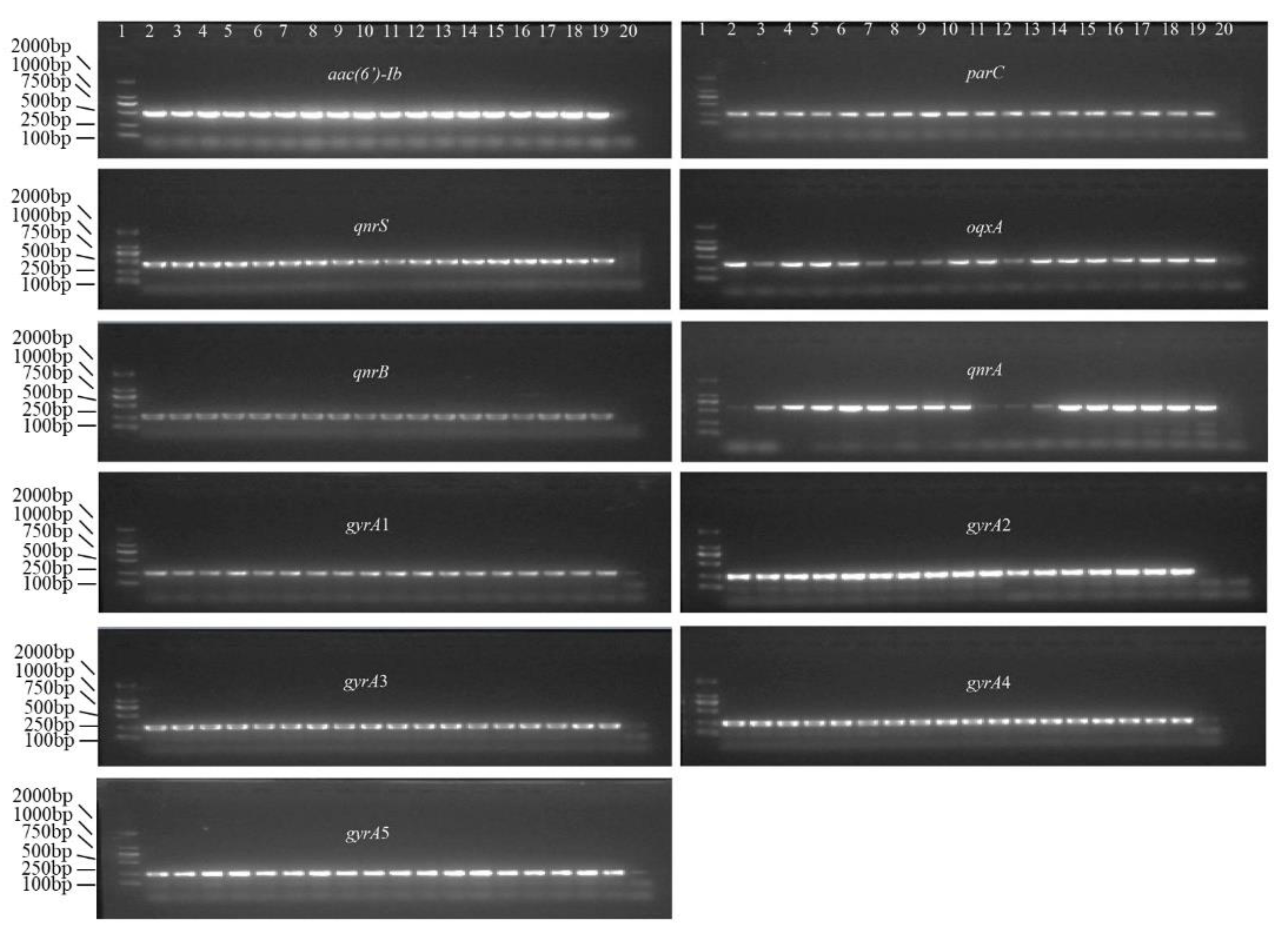 Foods 11 00154 g002 Foods 11 00154 g002