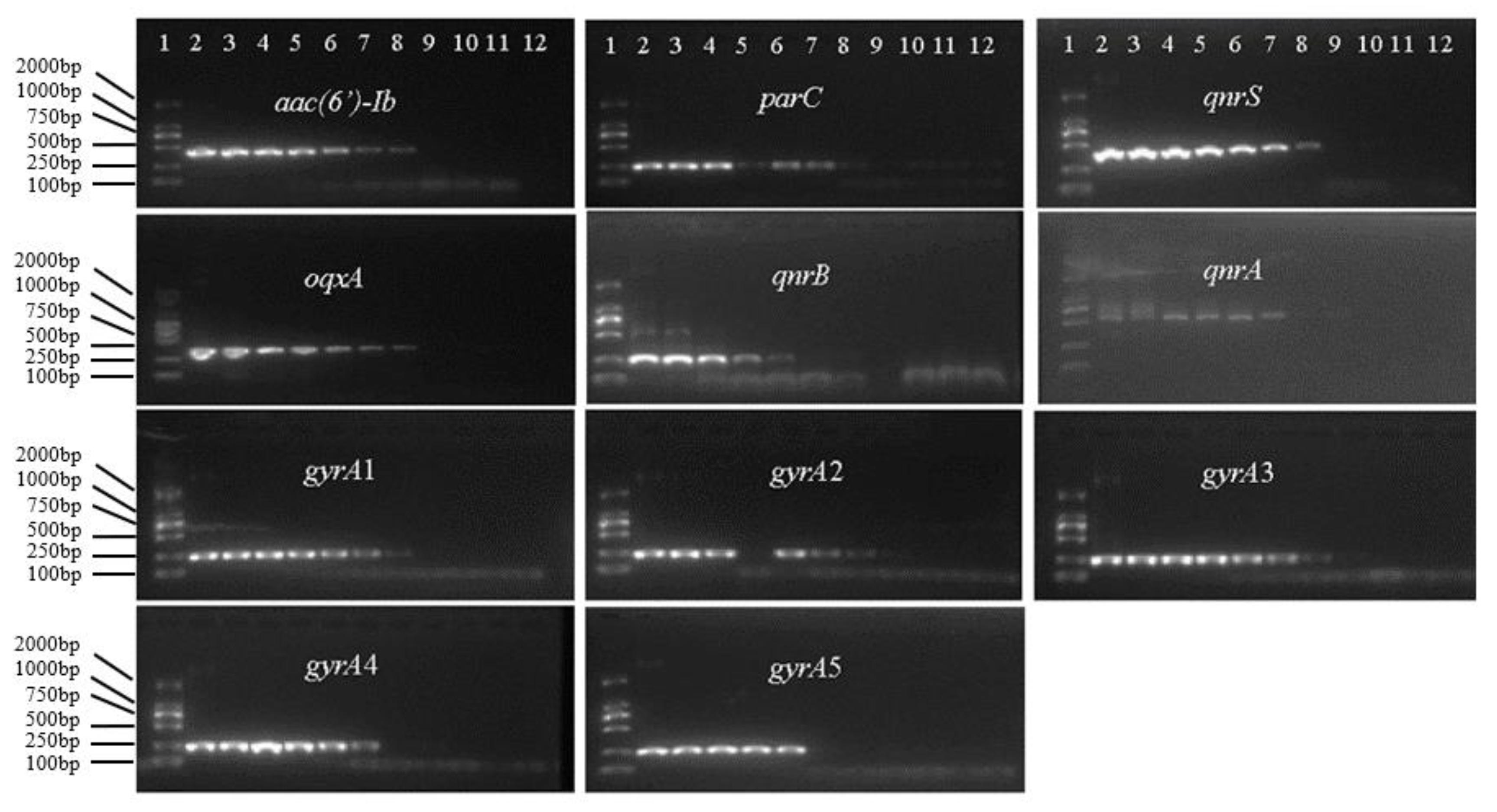 Foods 11 00154 g003 Foods 11 00154 g003