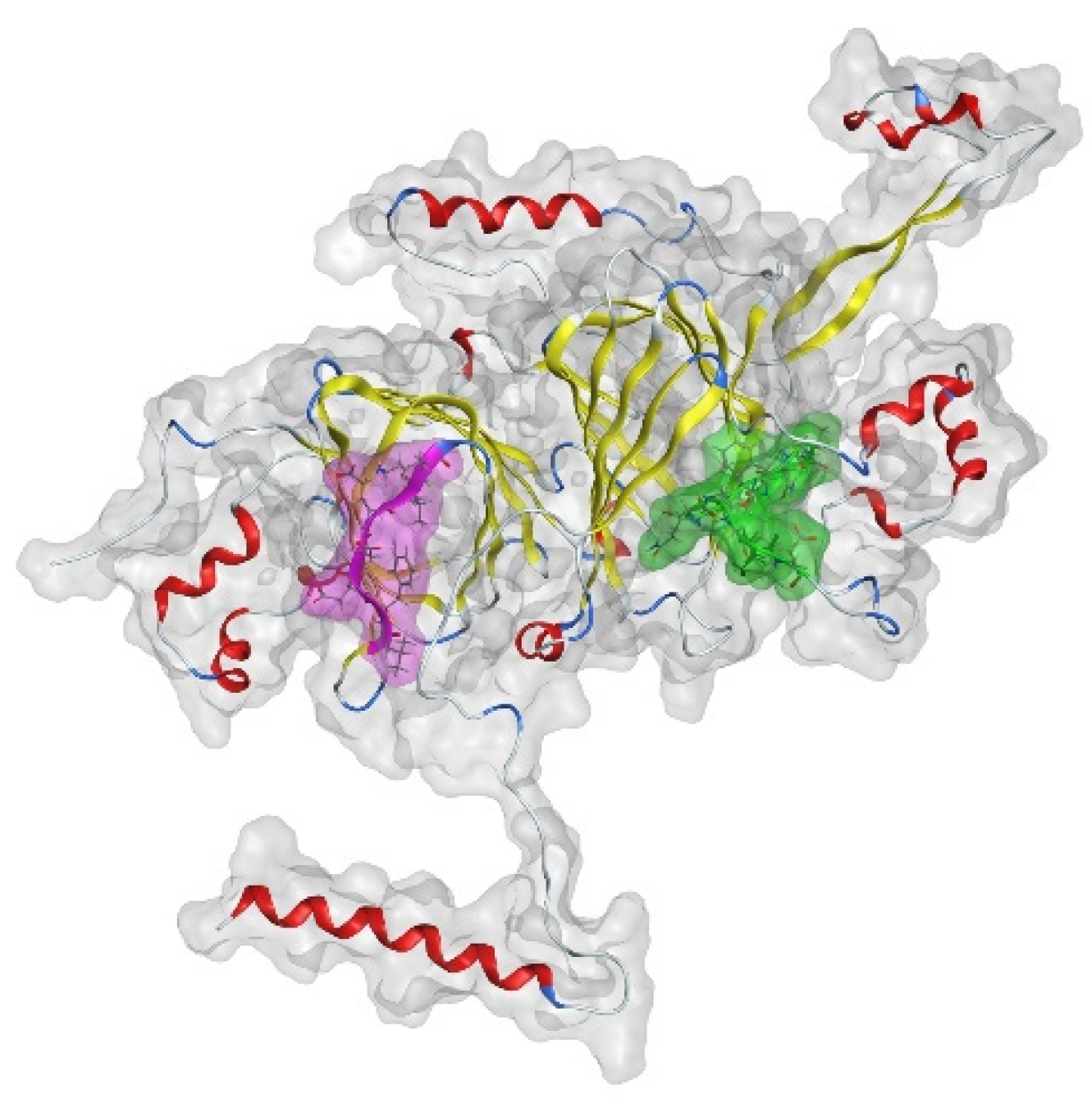 Foods 11 00159 g007 550