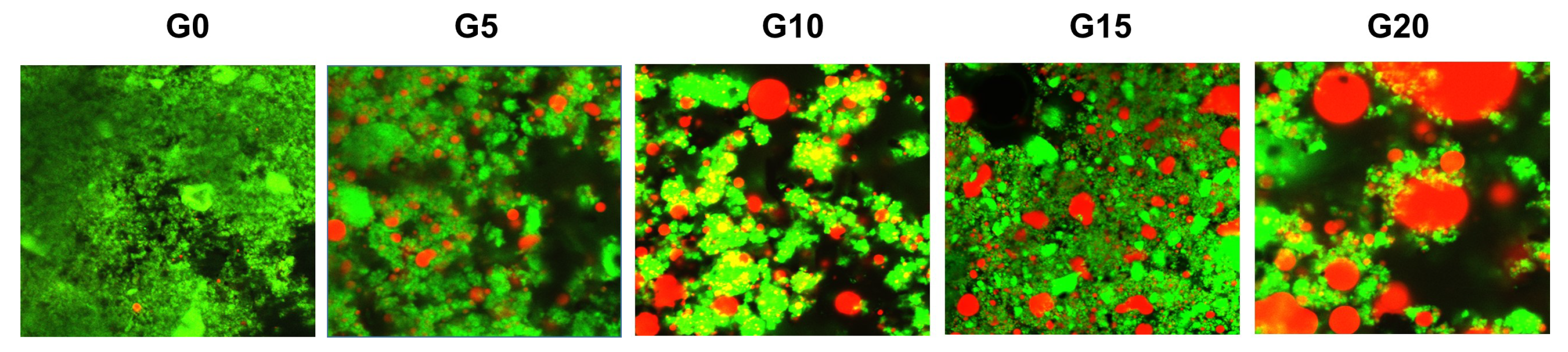 Foods 11 00178 g009 Foods 11 00178 g009