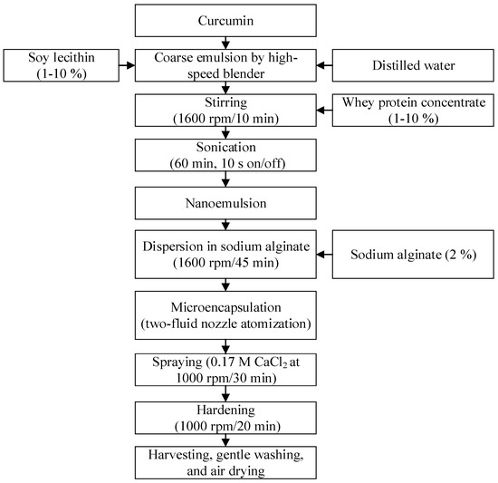 Foods Free FullText Preparation of Curcumin Hydrogel Beads for the