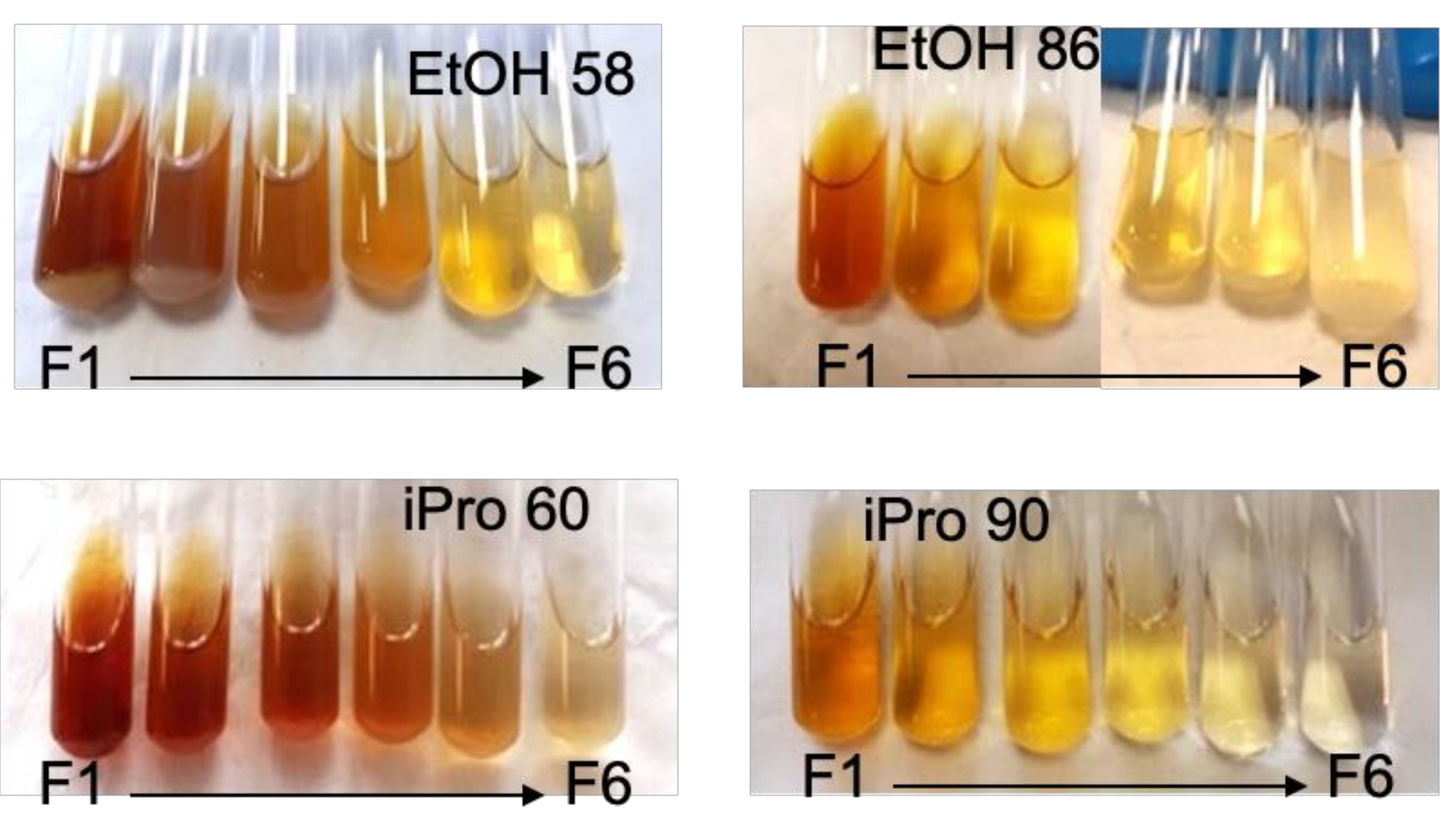 Foods 11 00186 g005 550