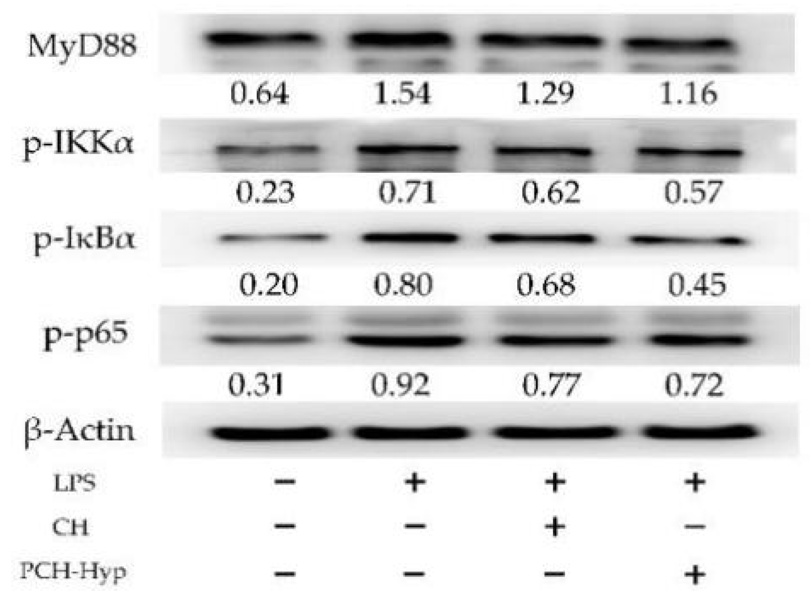 Foods 11 00196 g002 Foods 11 00196 g002