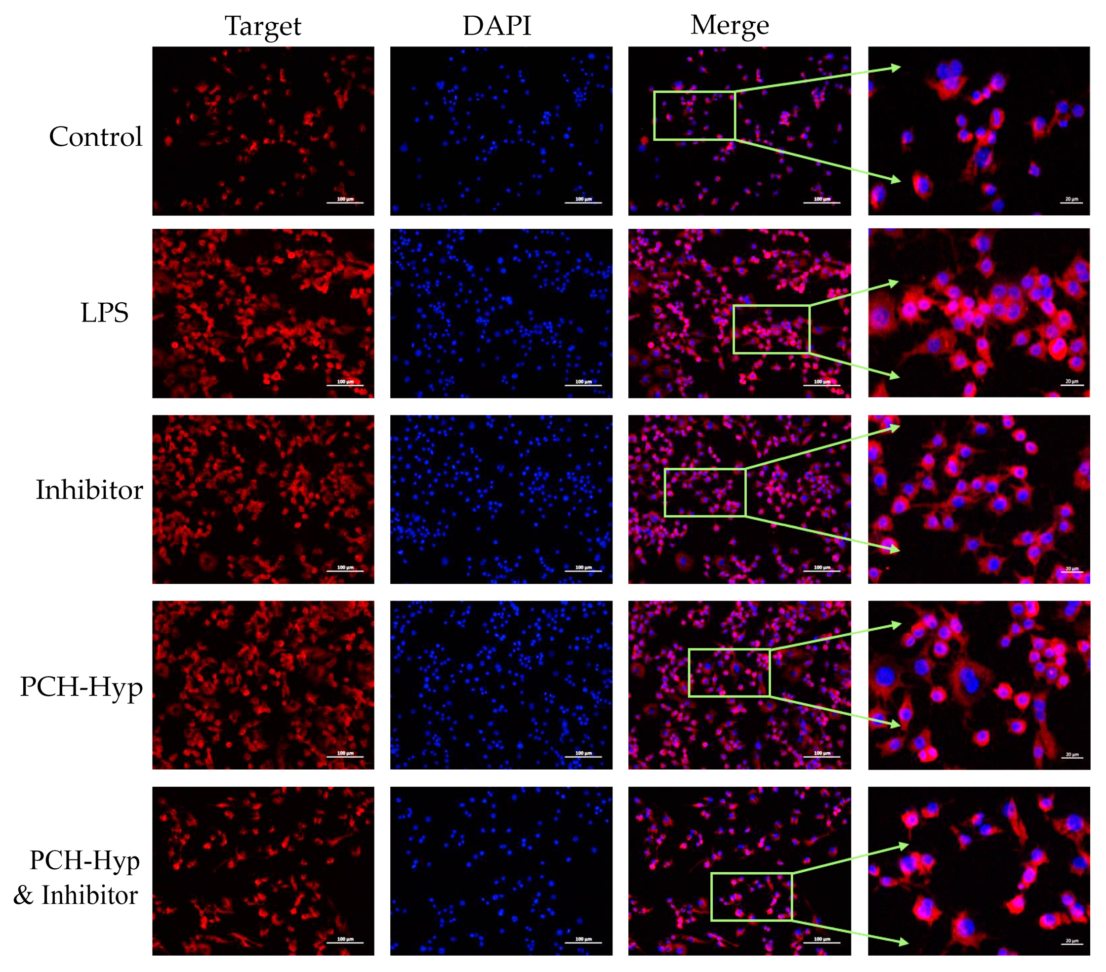 Foods 11 00196 g004 Foods 11 00196 g004