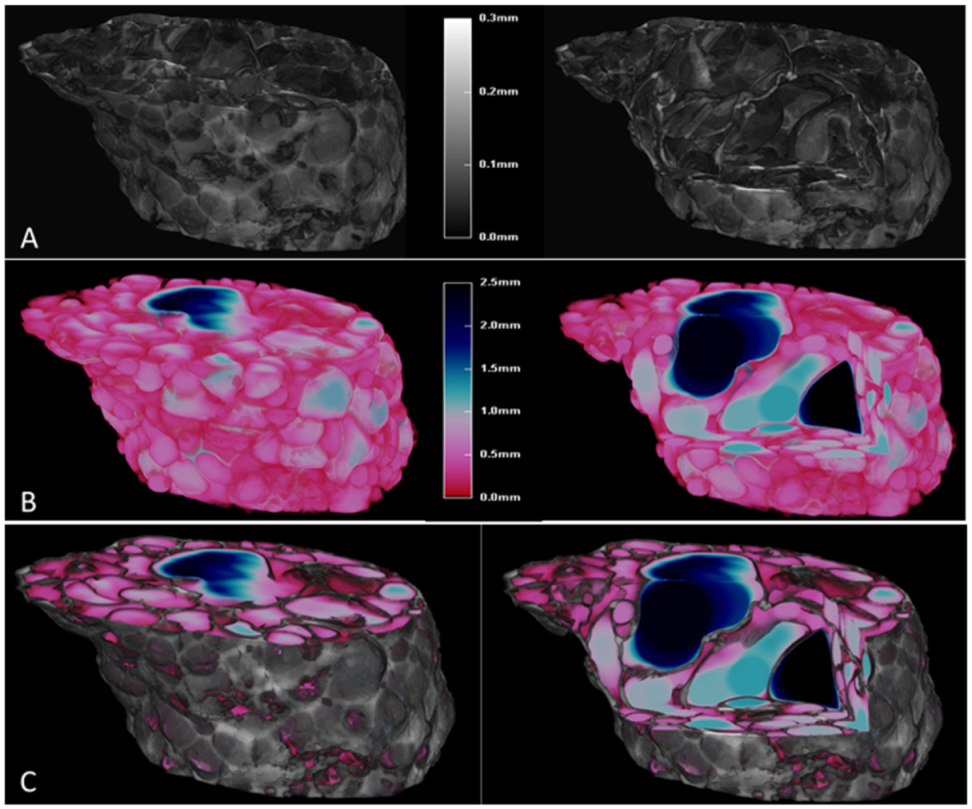 Foods 11 00198 g006 Foods 11 00198 g006