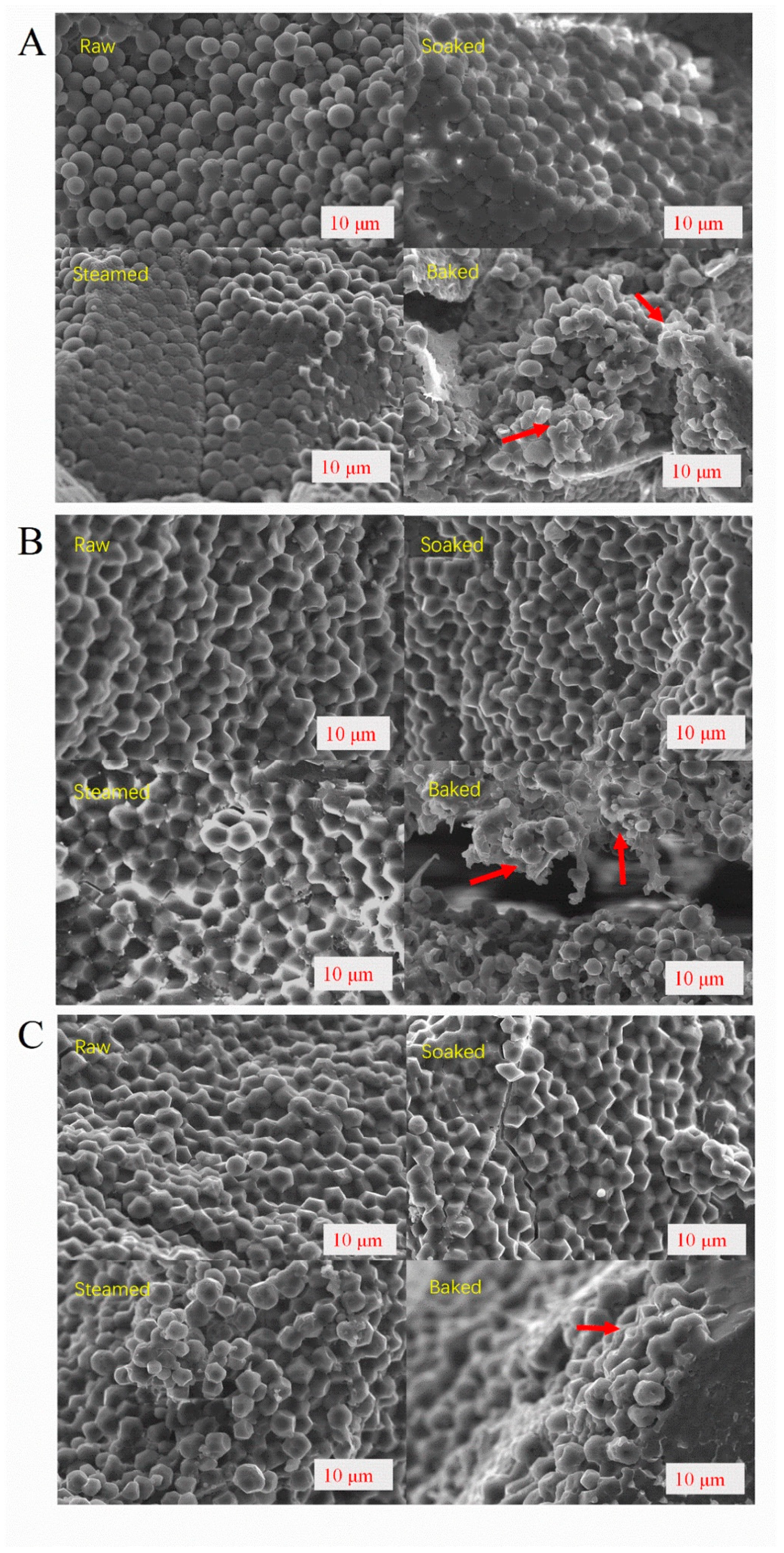 Foods 11 00212 g004 550