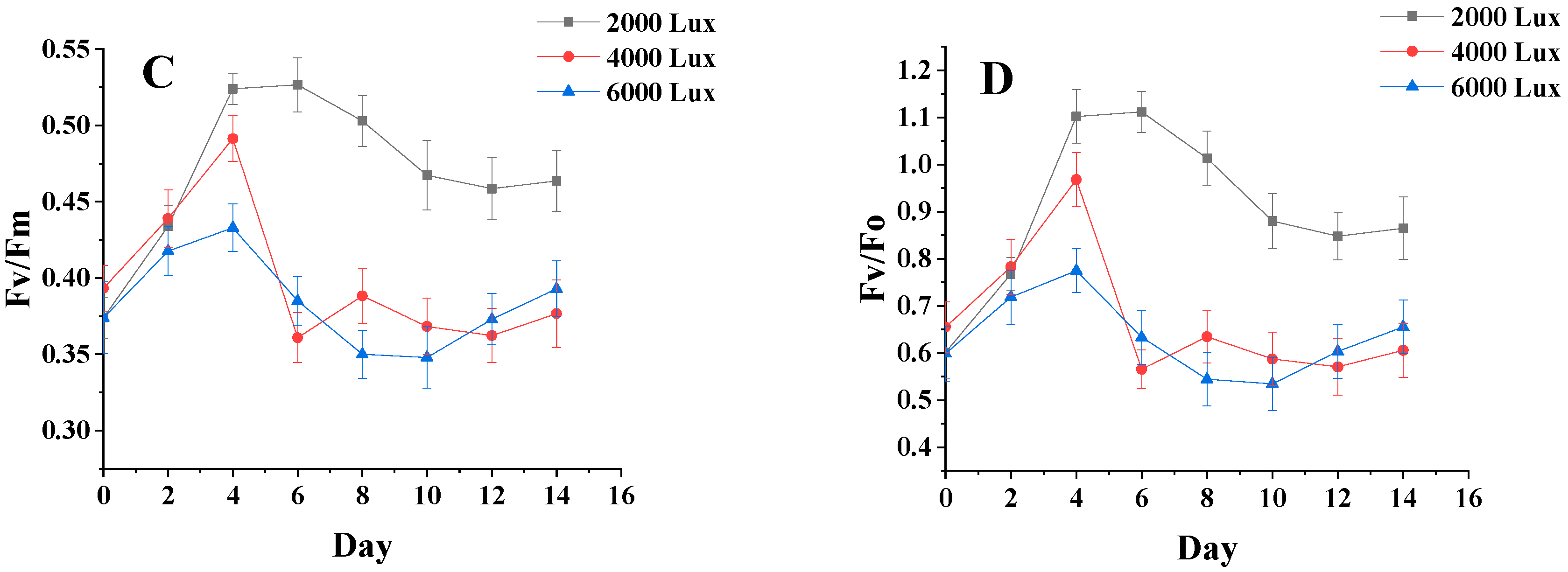 Foods 11 00215 g005b