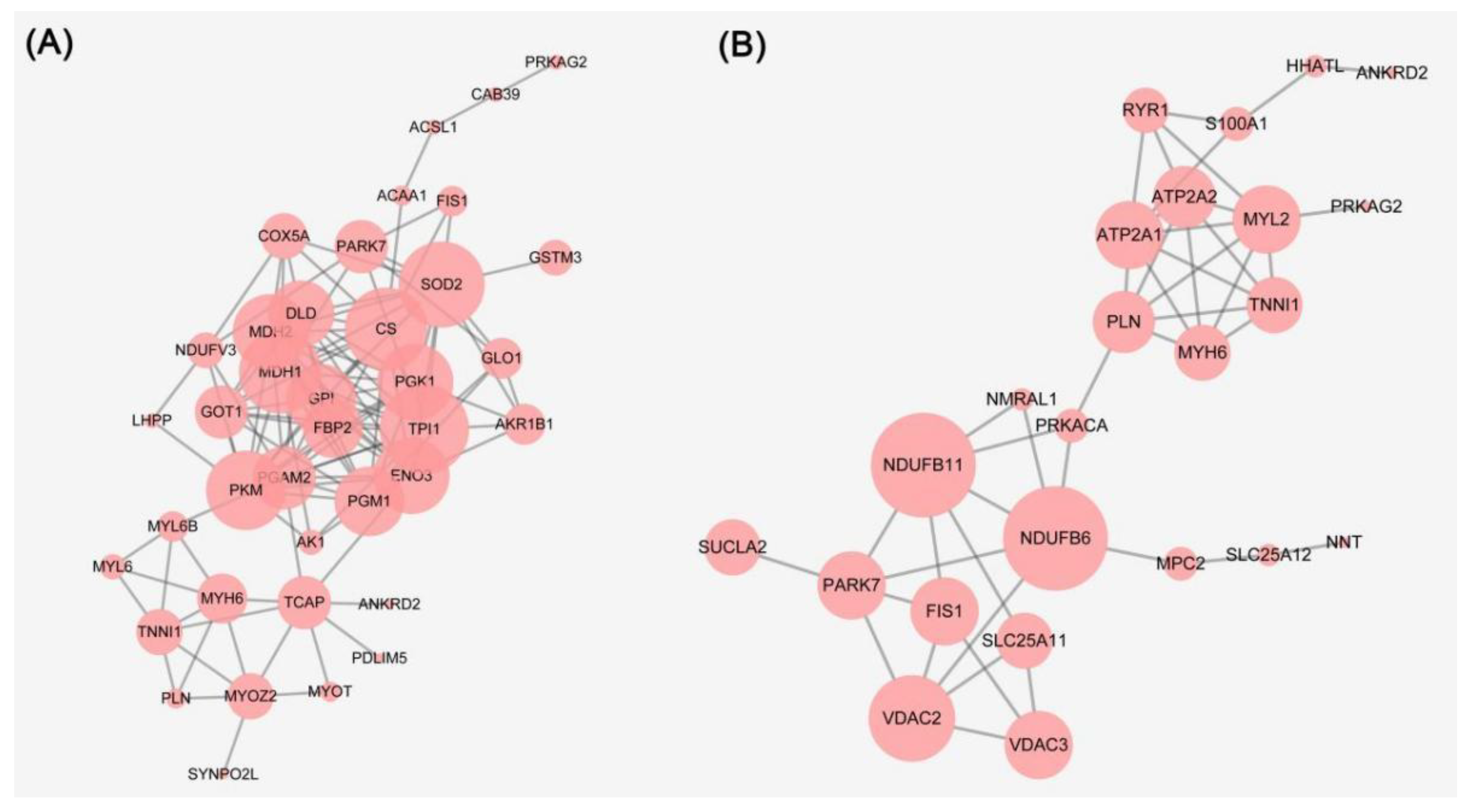 Foods 11 00217 g003 550