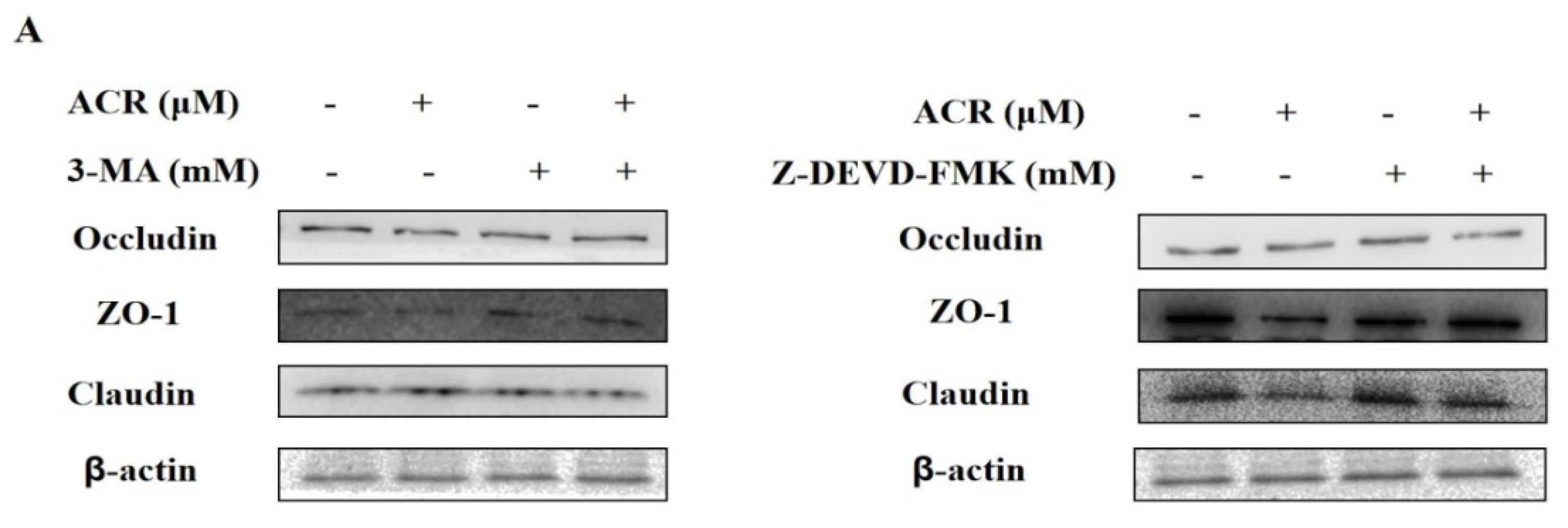 Foods 11 00240 g008a