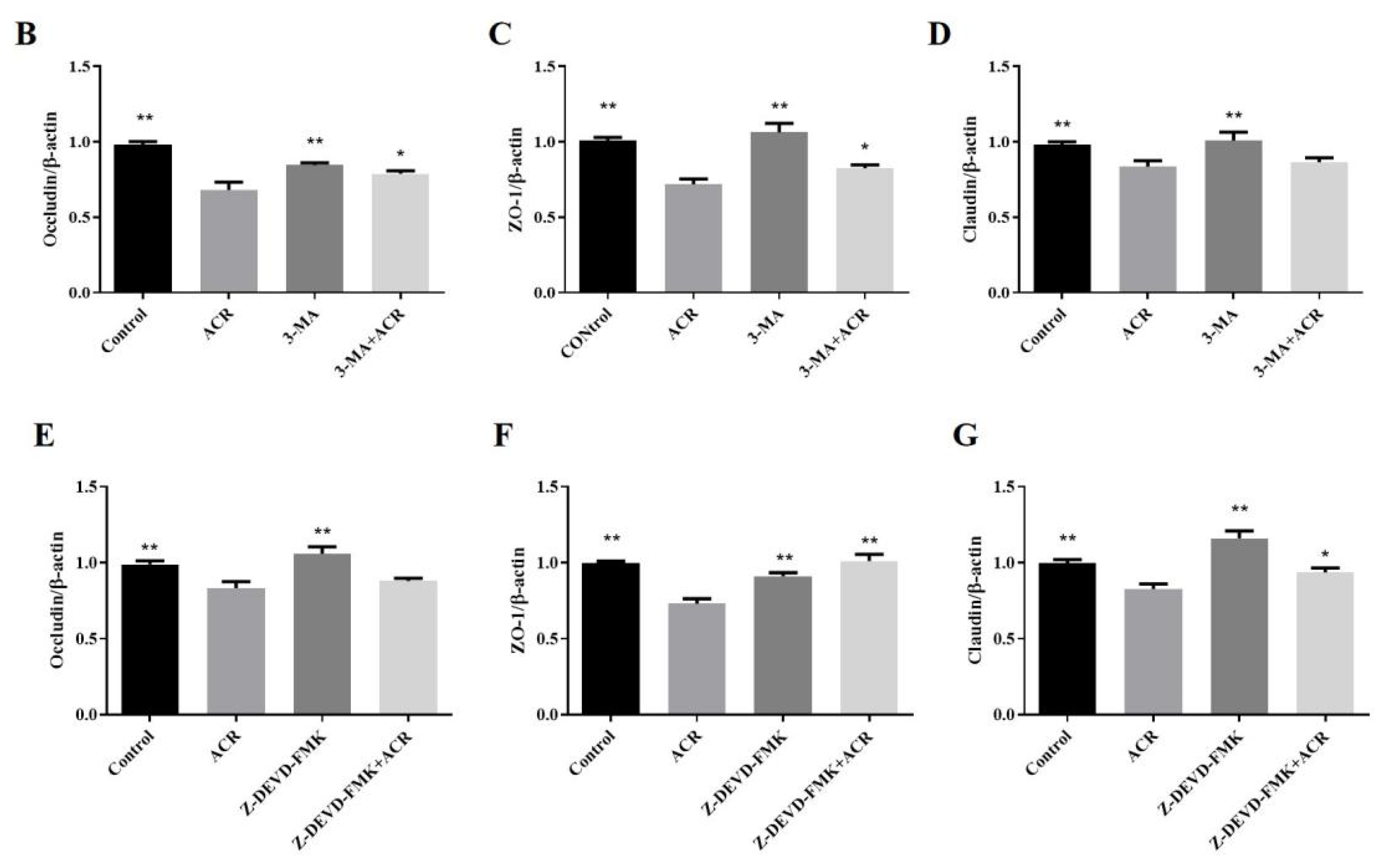 Foods 11 00240 g008b