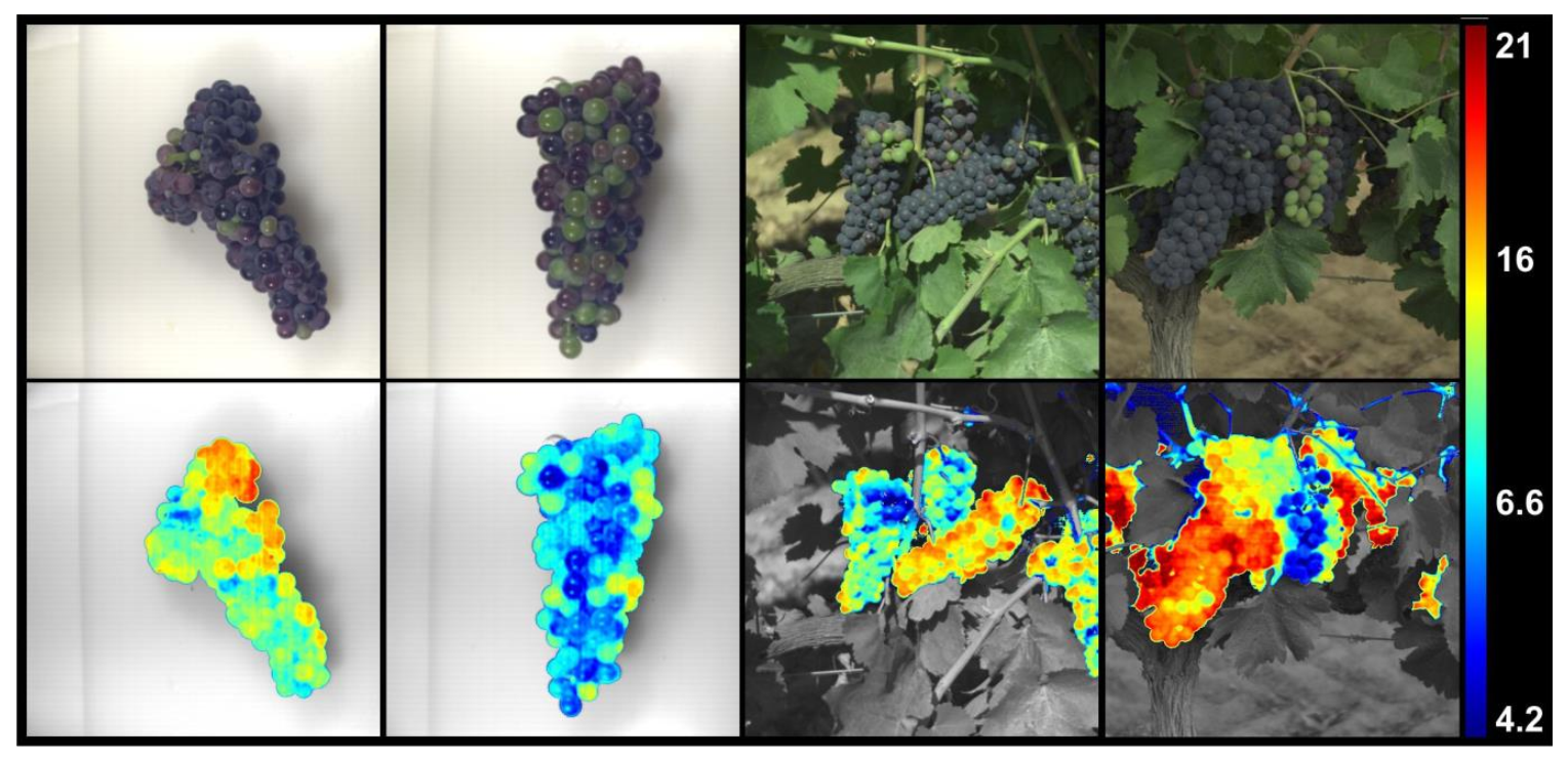 Foods 11 00254 g002 550