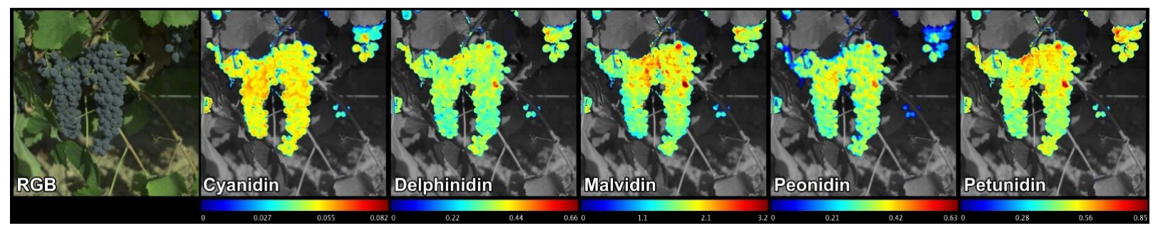 Foods 11 00254 g003 550