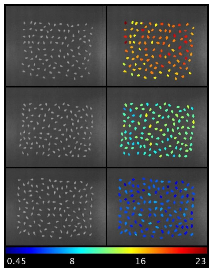 Foods 11 00254 g004 550