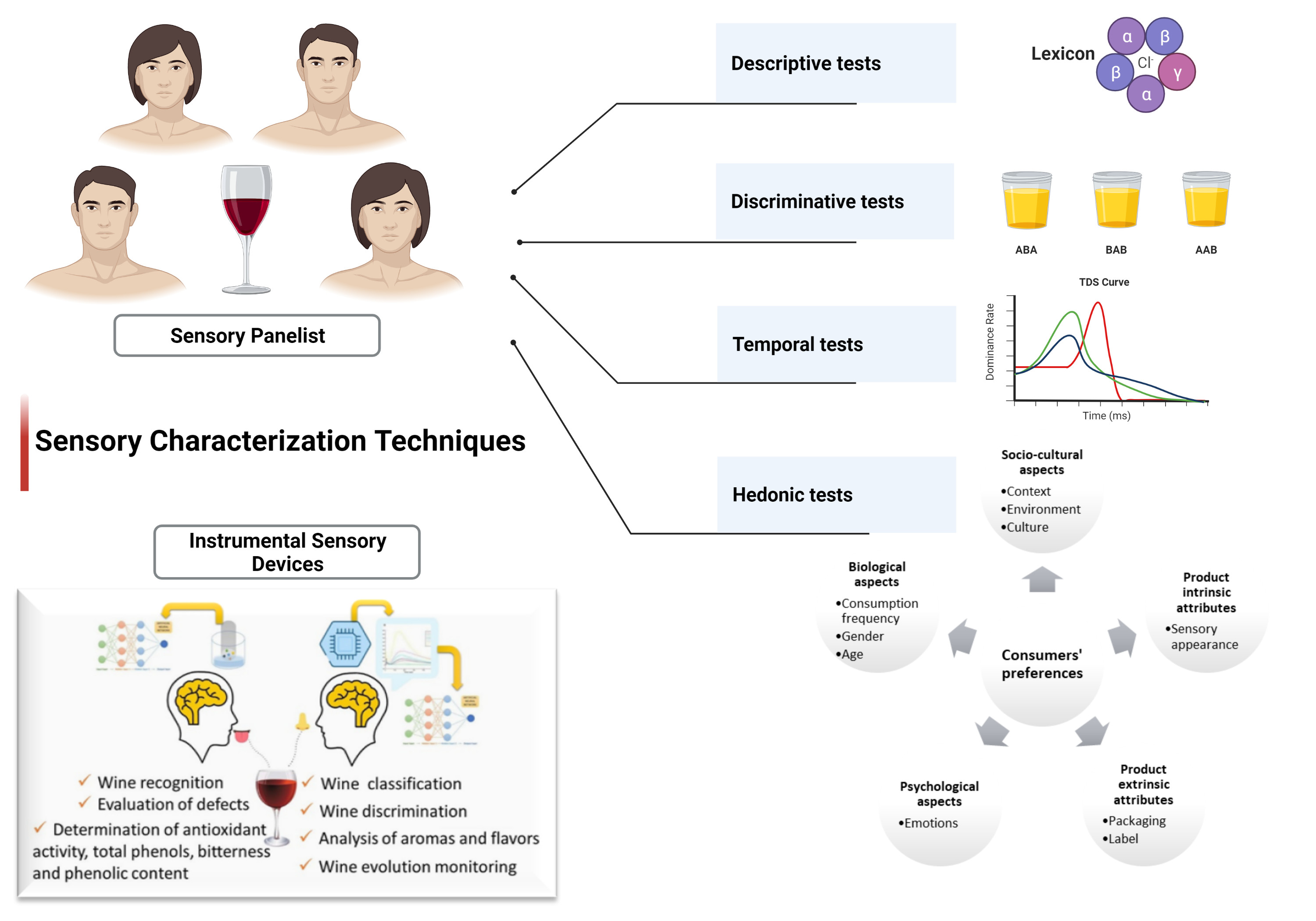 Foods Free FullText An Overview of Sensory Characterization