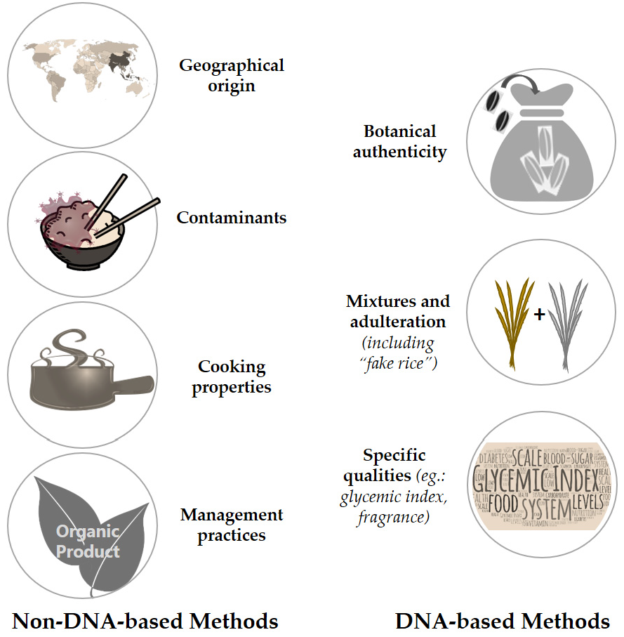 Foods 11 00258 g002 Foods 11 00258 g002