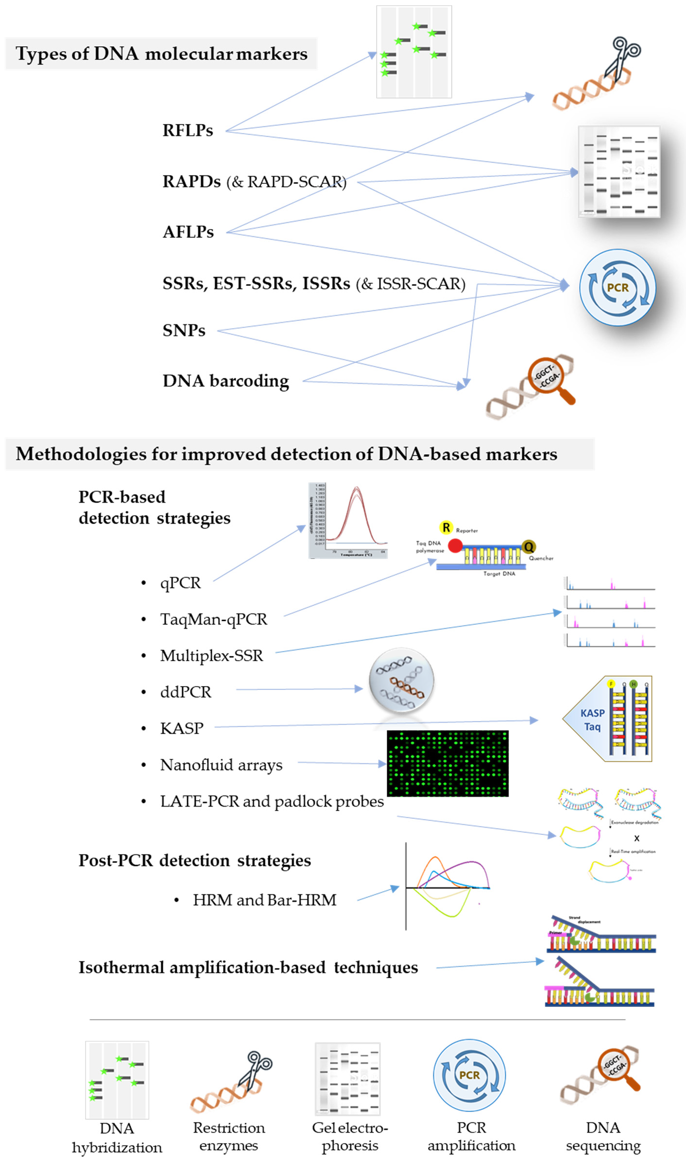 Foods 11 00258 g003 Foods 11 00258 g003
