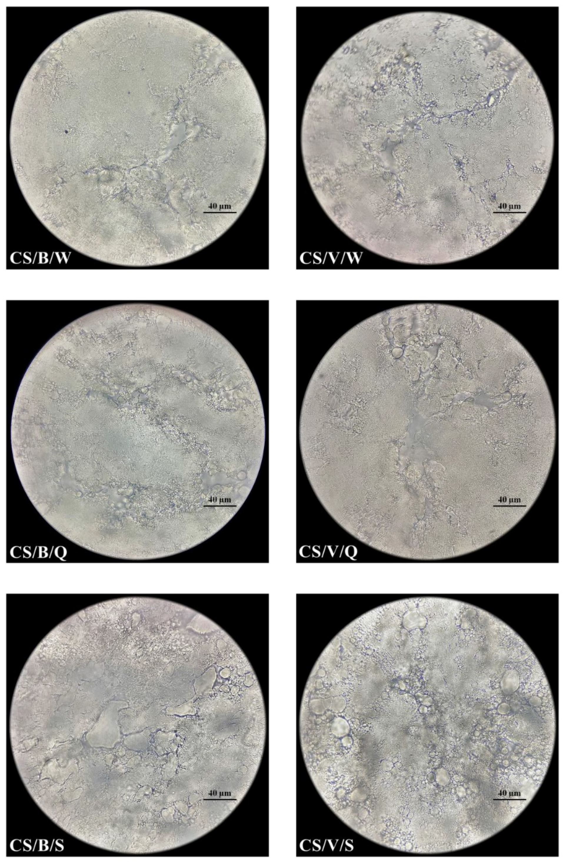 Foods 11 00296 g002 550