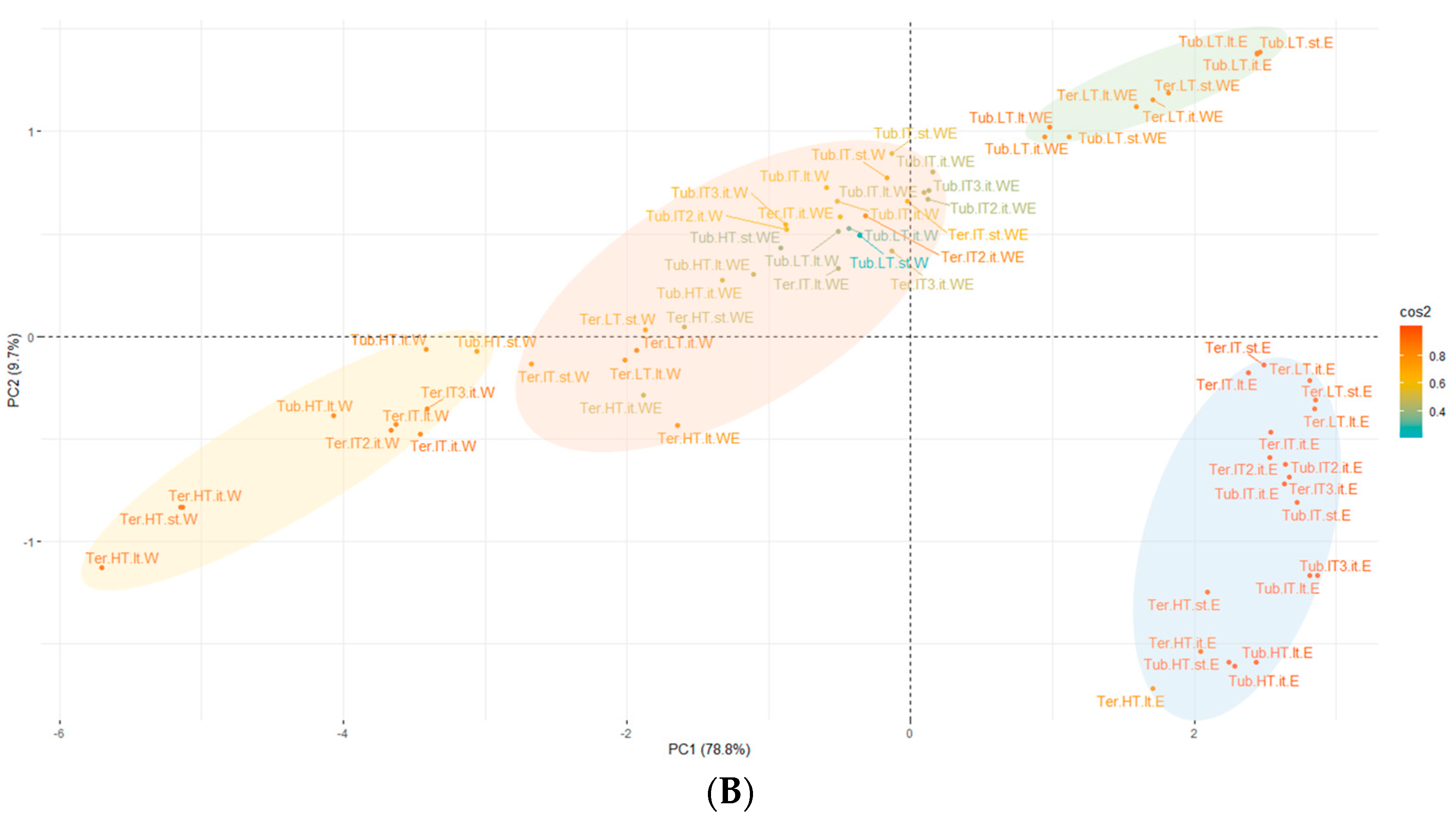 Foods 11 00298 g002b 550