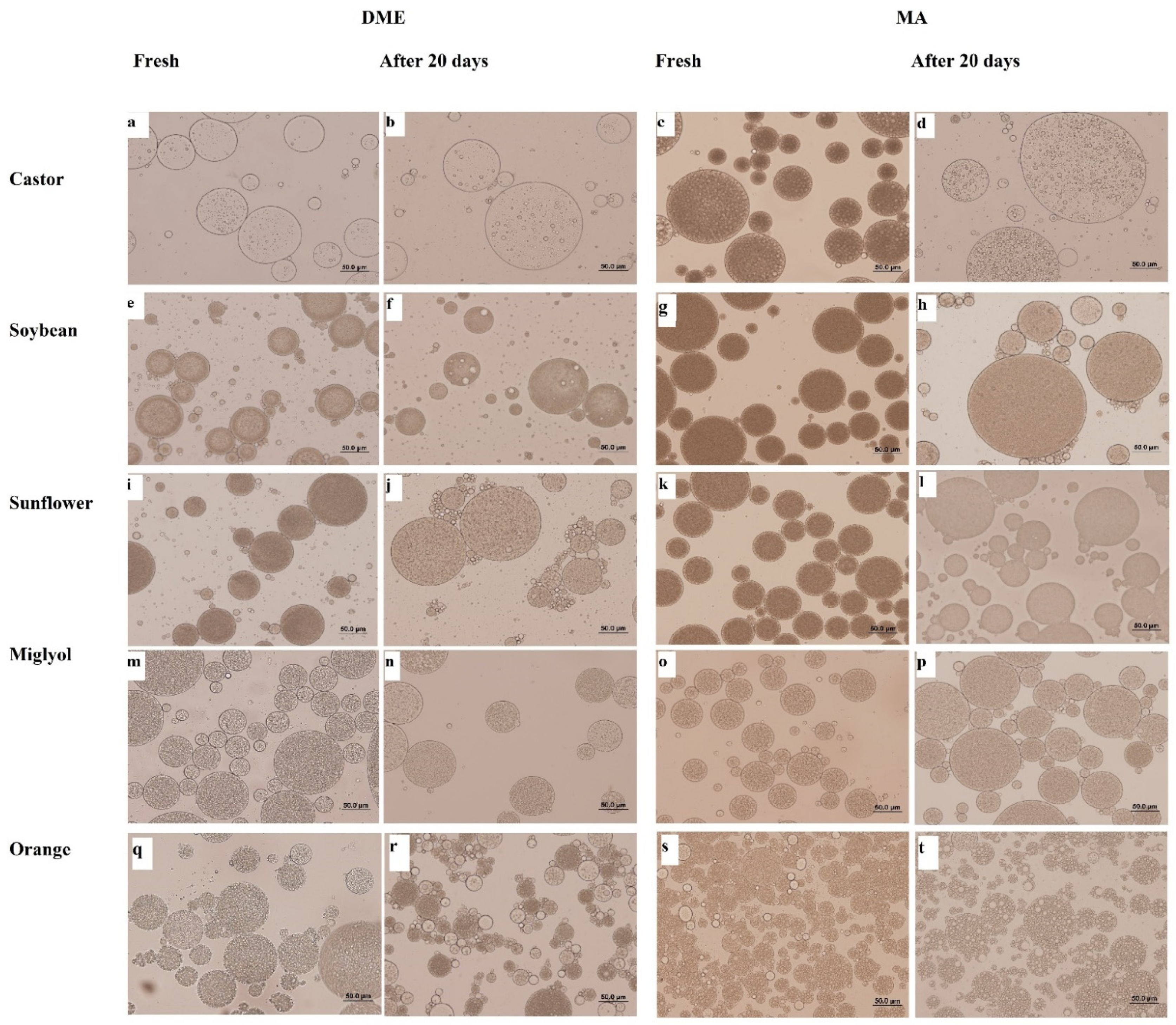 Foods 11 00310 g003 550