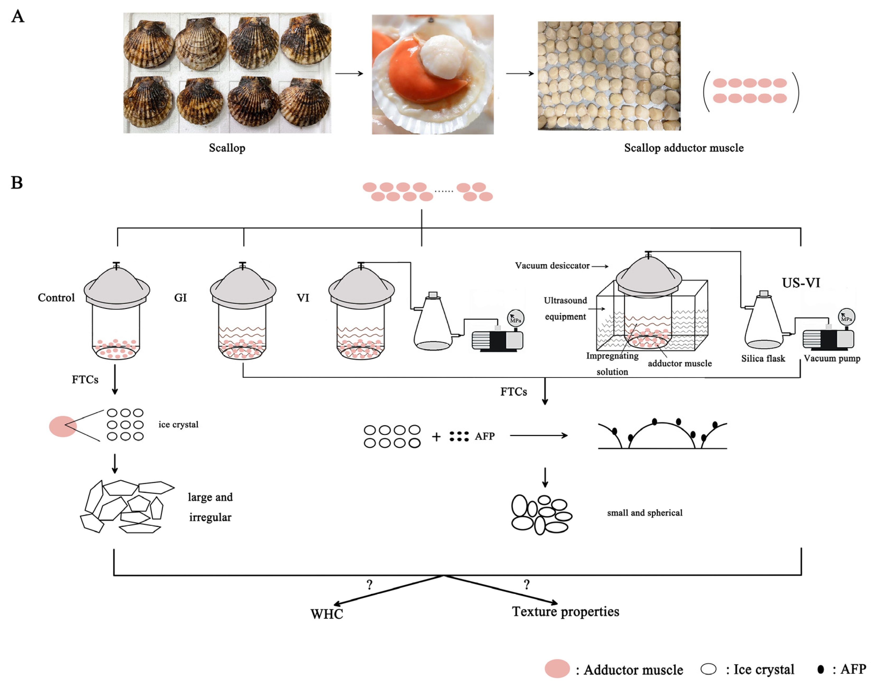 Foods 11 00320 g001 550