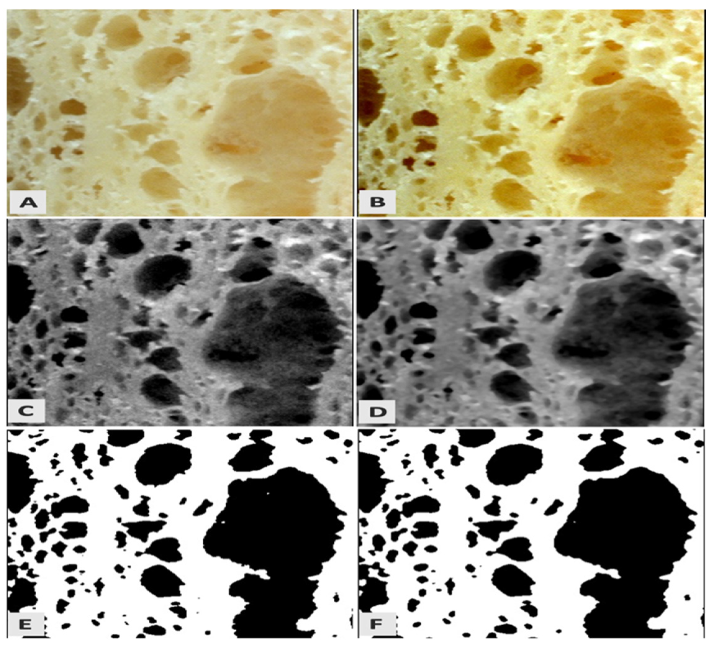 Foods 11 00321 g001 550