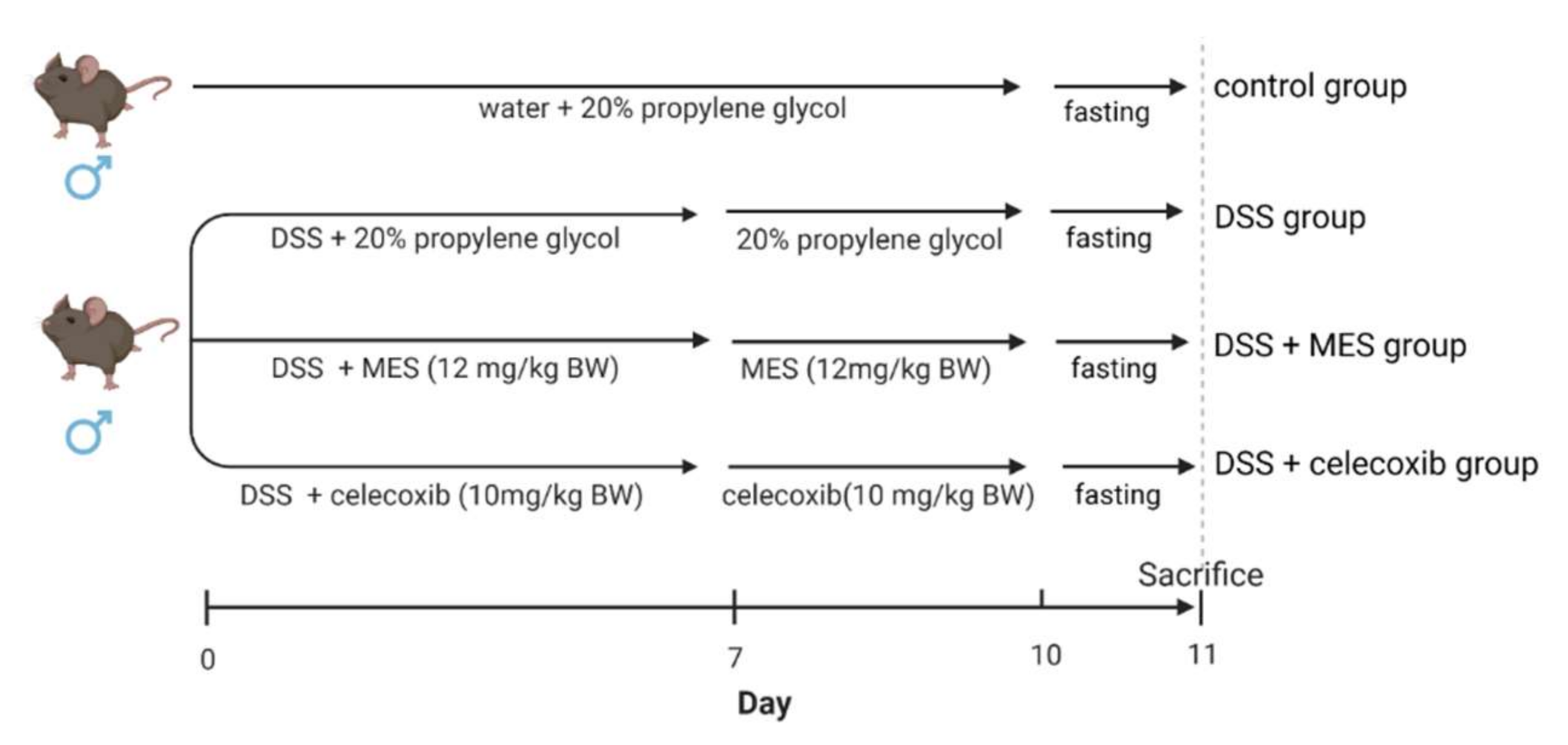 Foods 11 00329 g001 550