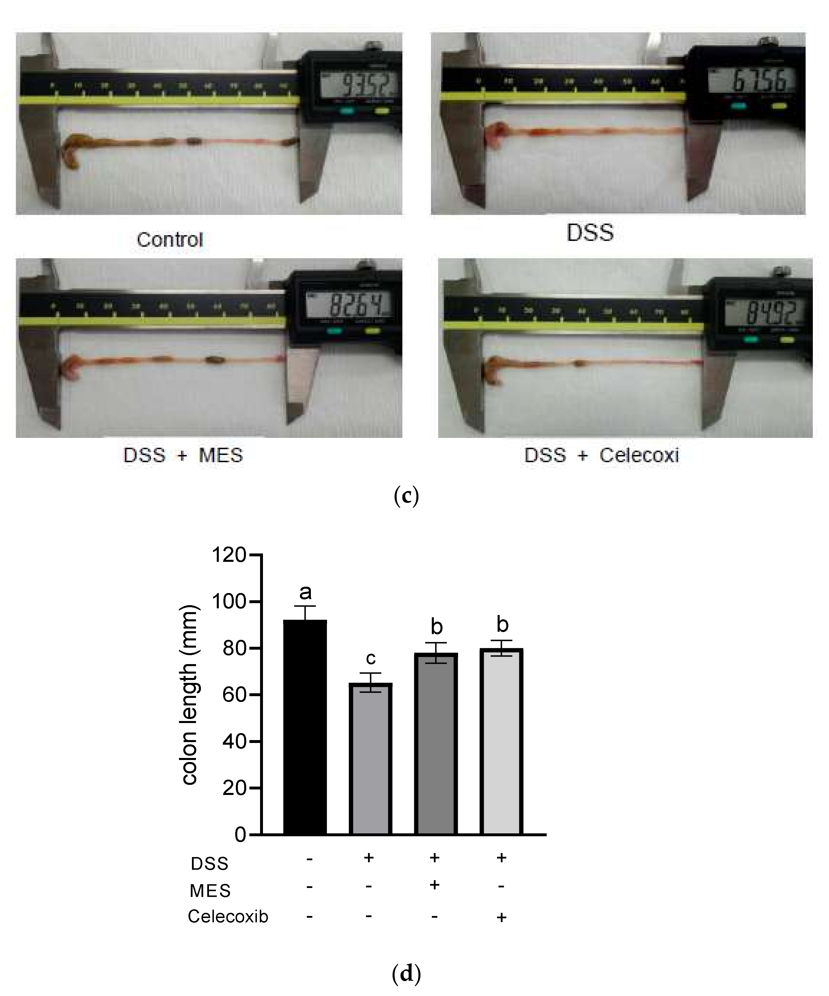 Foods 11 00329 g002b 550