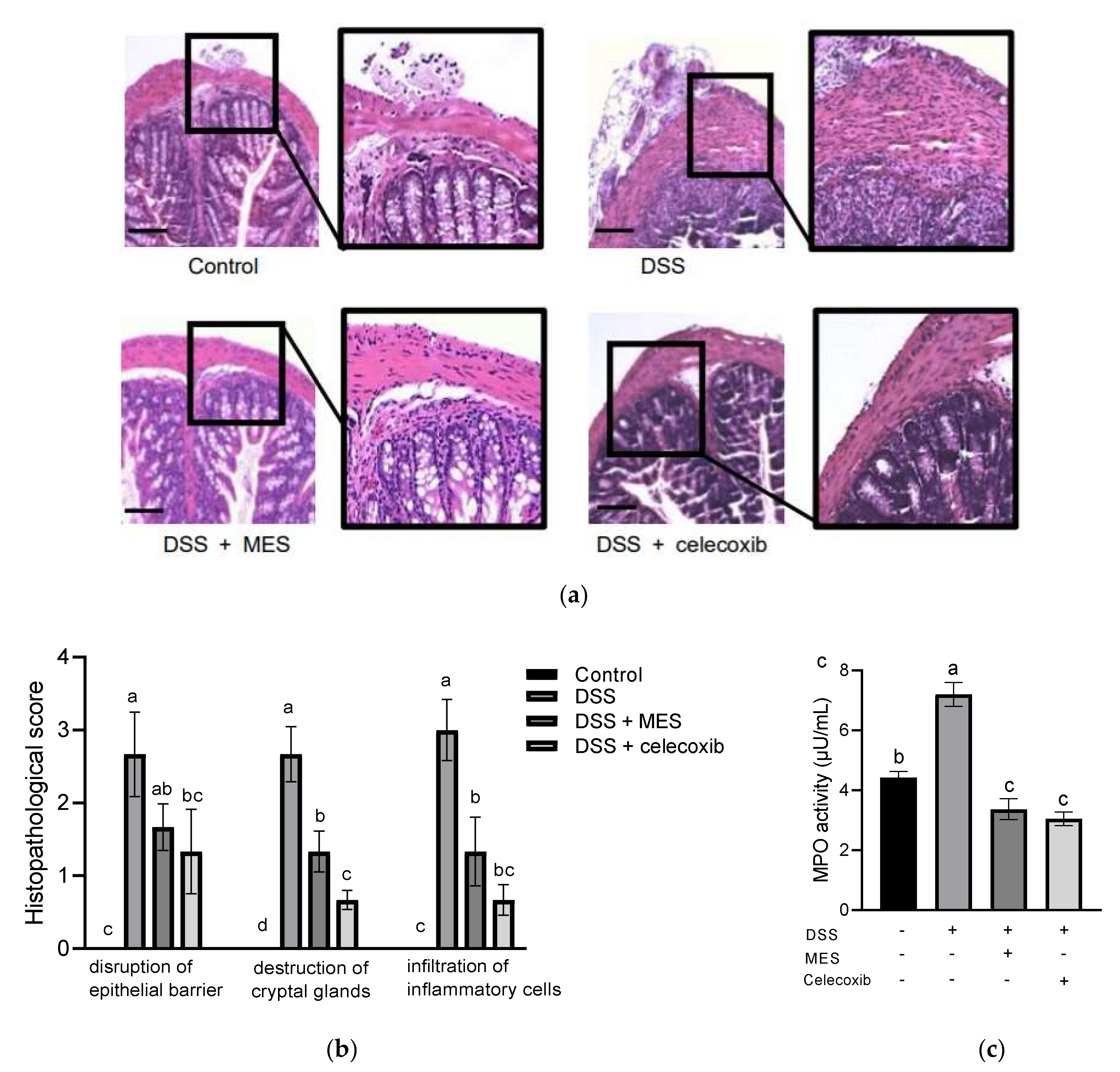 Foods 11 00329 g003 550