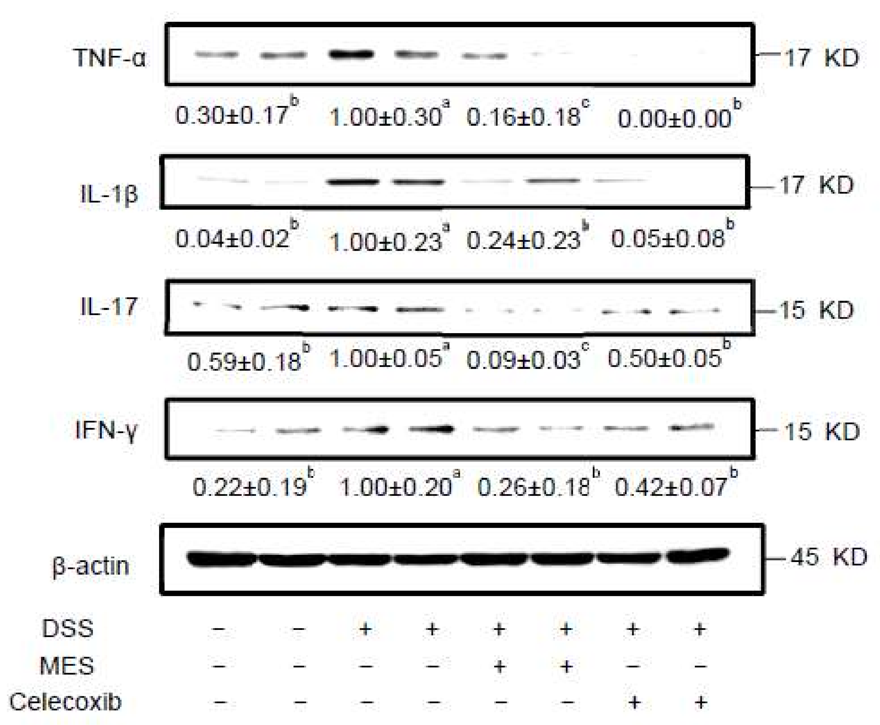 Foods 11 00329 g004 550