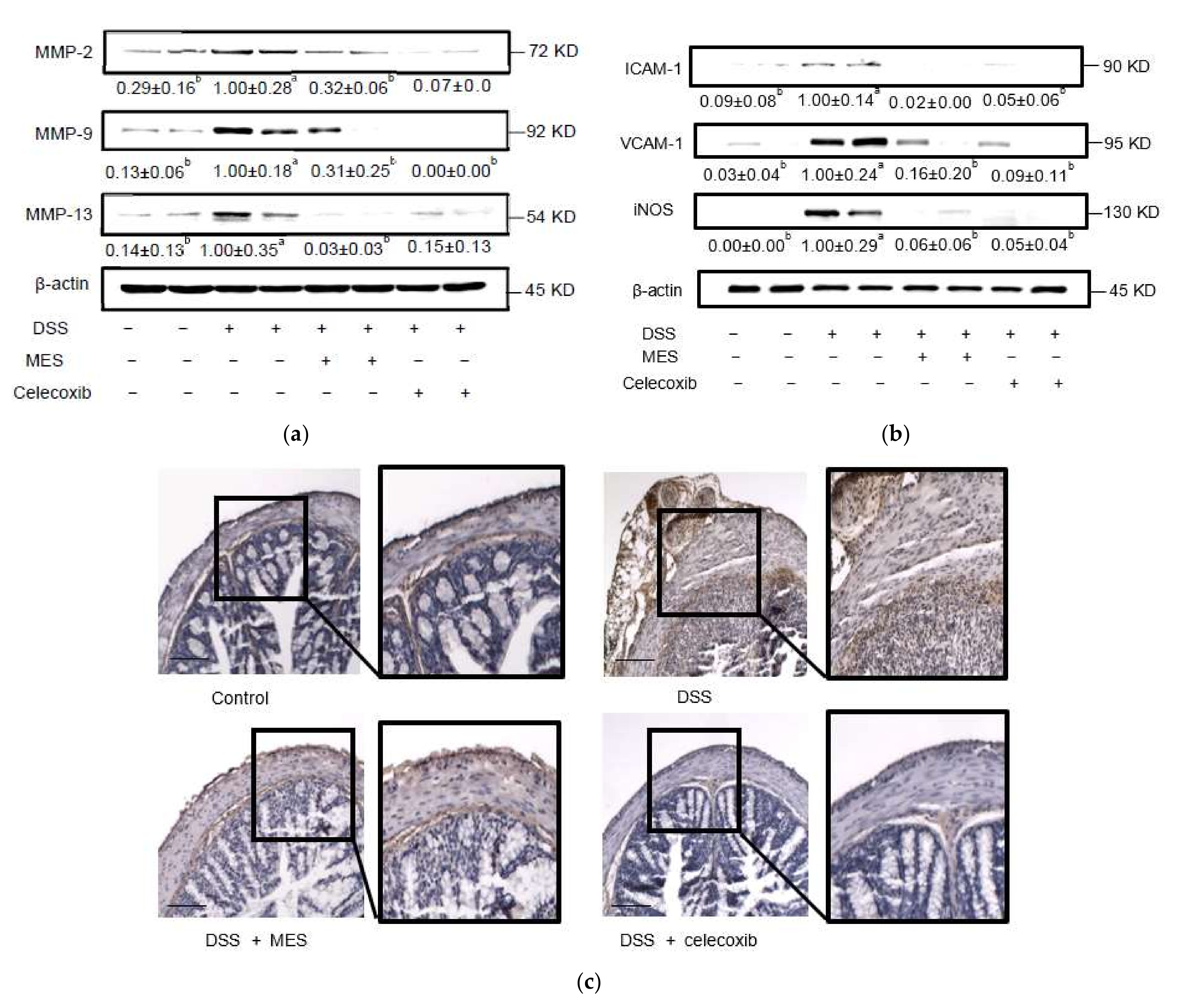 Foods 11 00329 g005 550