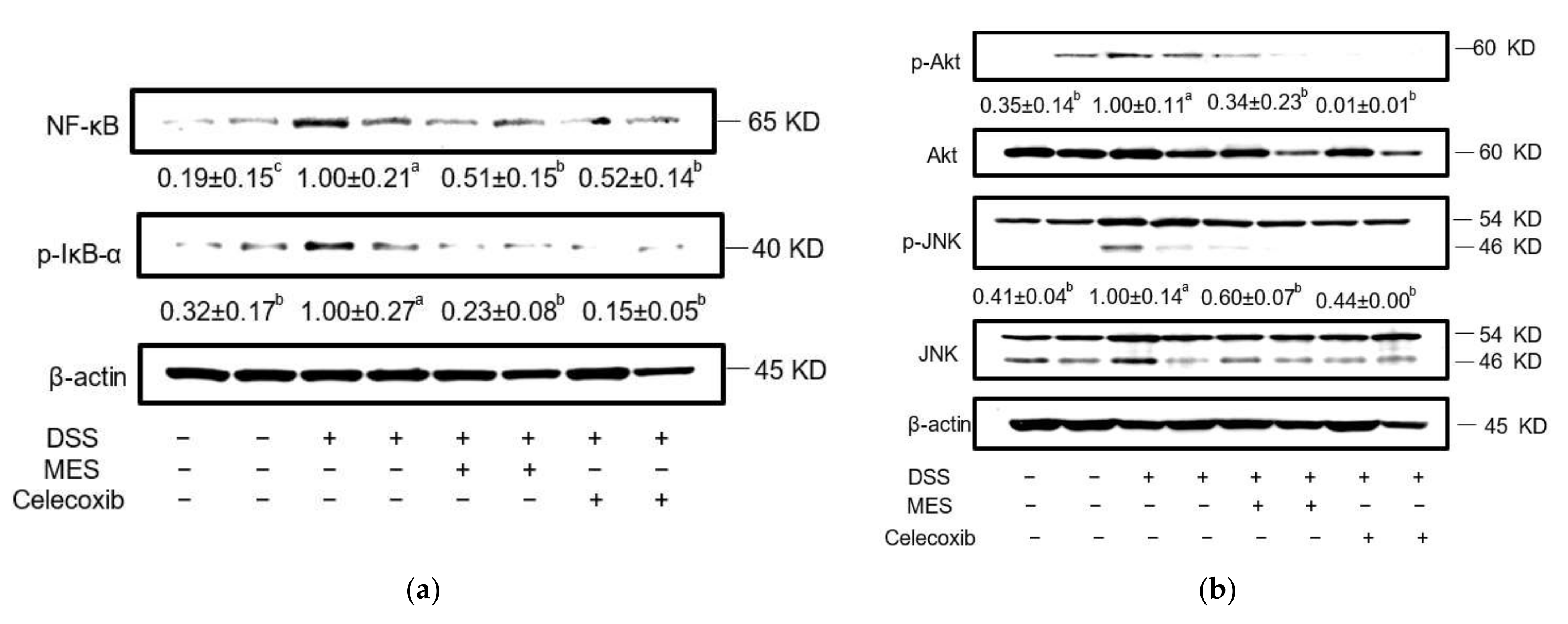 Foods 11 00329 g006 550