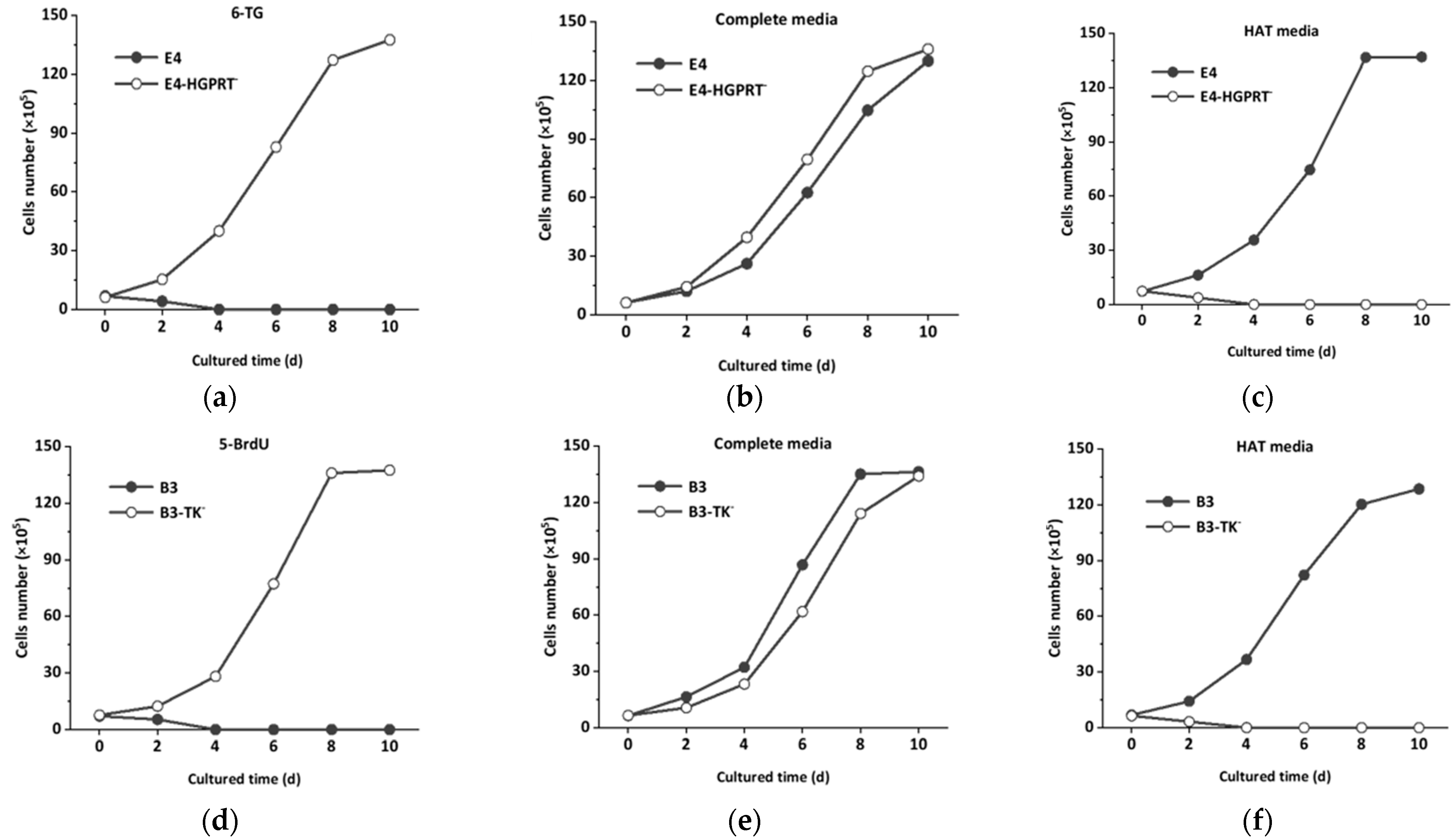Foods 11 00335 g003 550