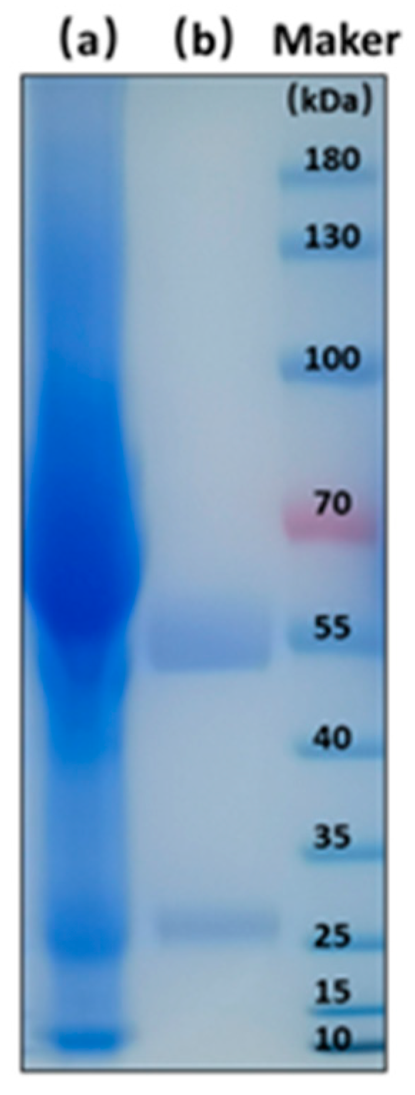 Foods 11 00335 g004 550