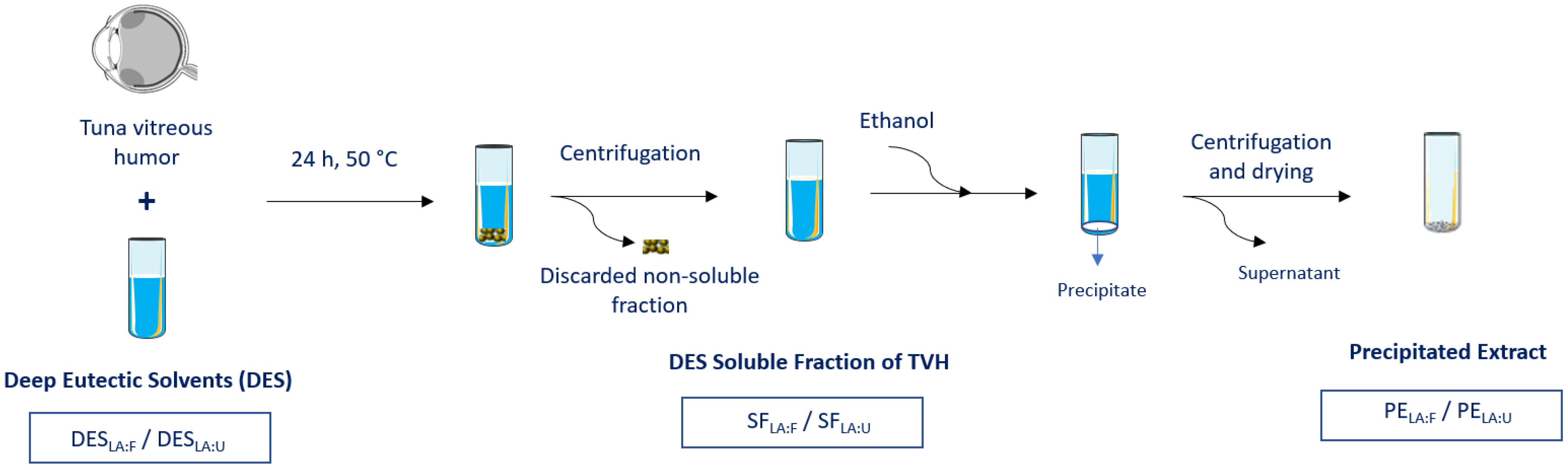 Foods 11 00342 g001 Foods 11 00342 g001