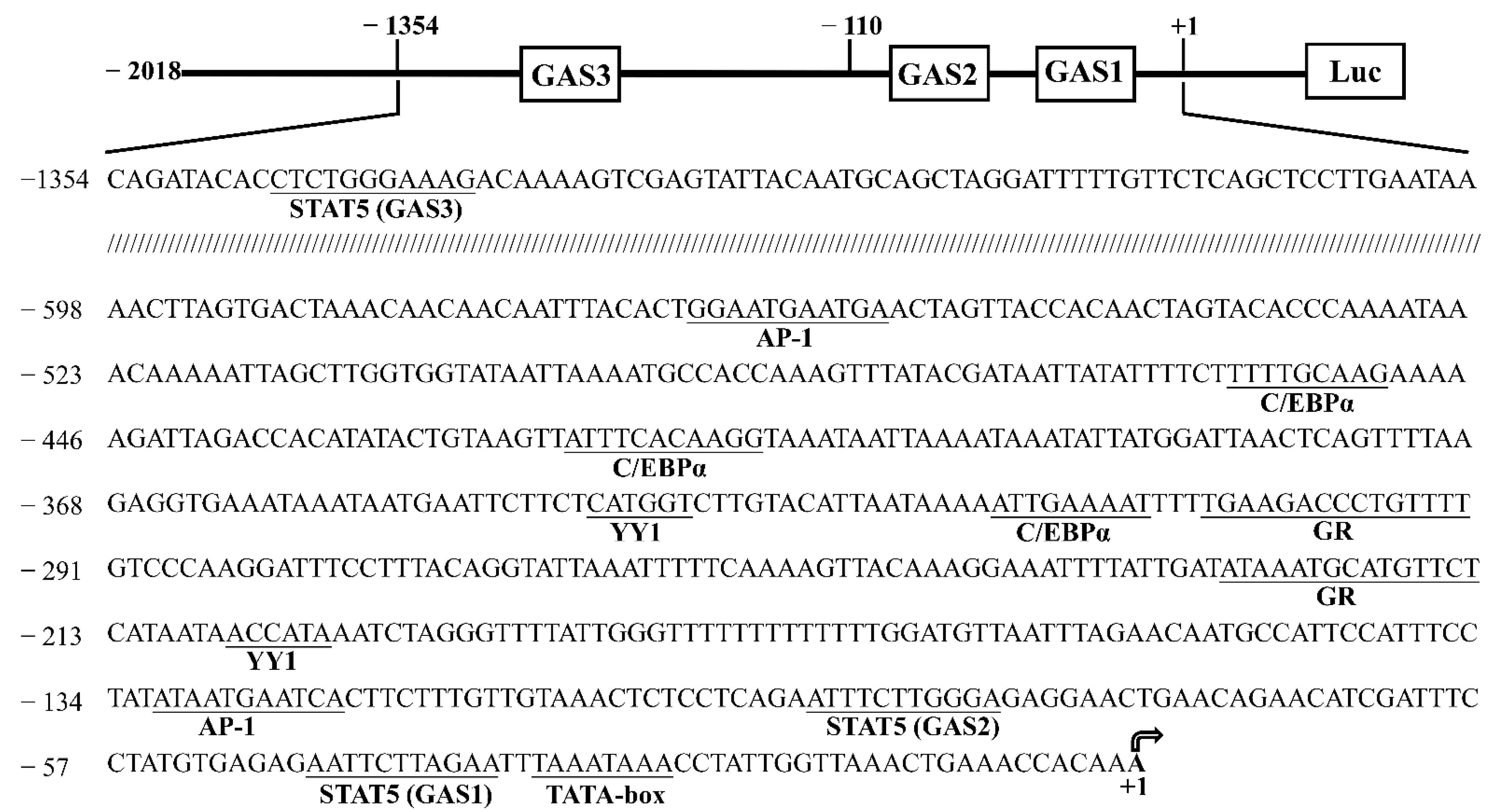 Foods 11 00346 g001 Foods 11 00346 g001