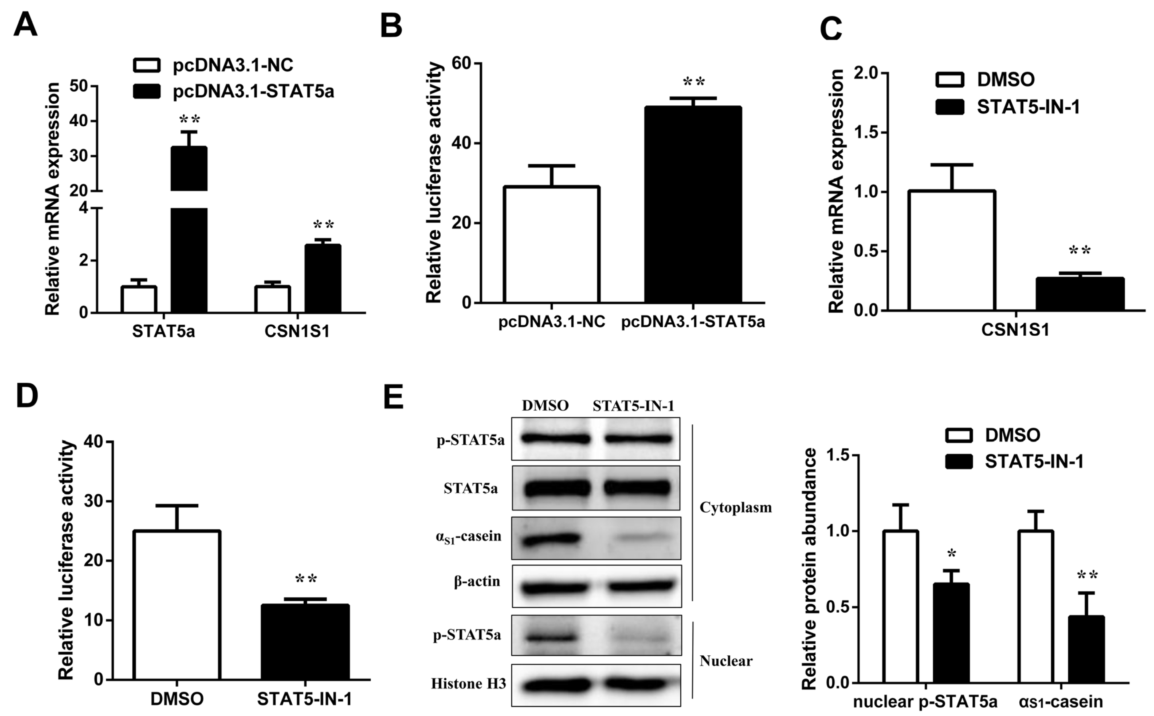 Foods 11 00346 g003 Foods 11 00346 g003
