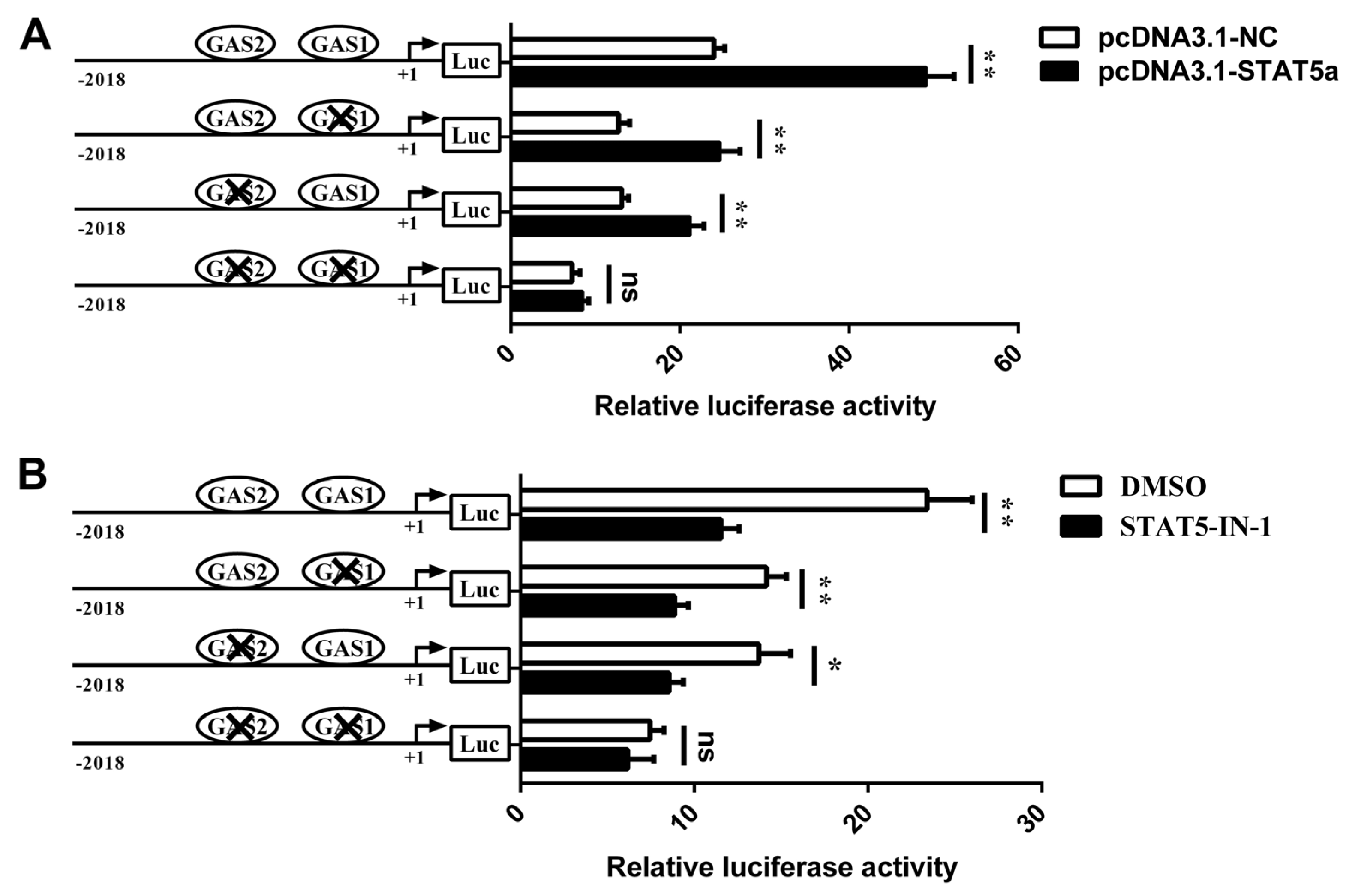 Foods 11 00346 g005 Foods 11 00346 g005