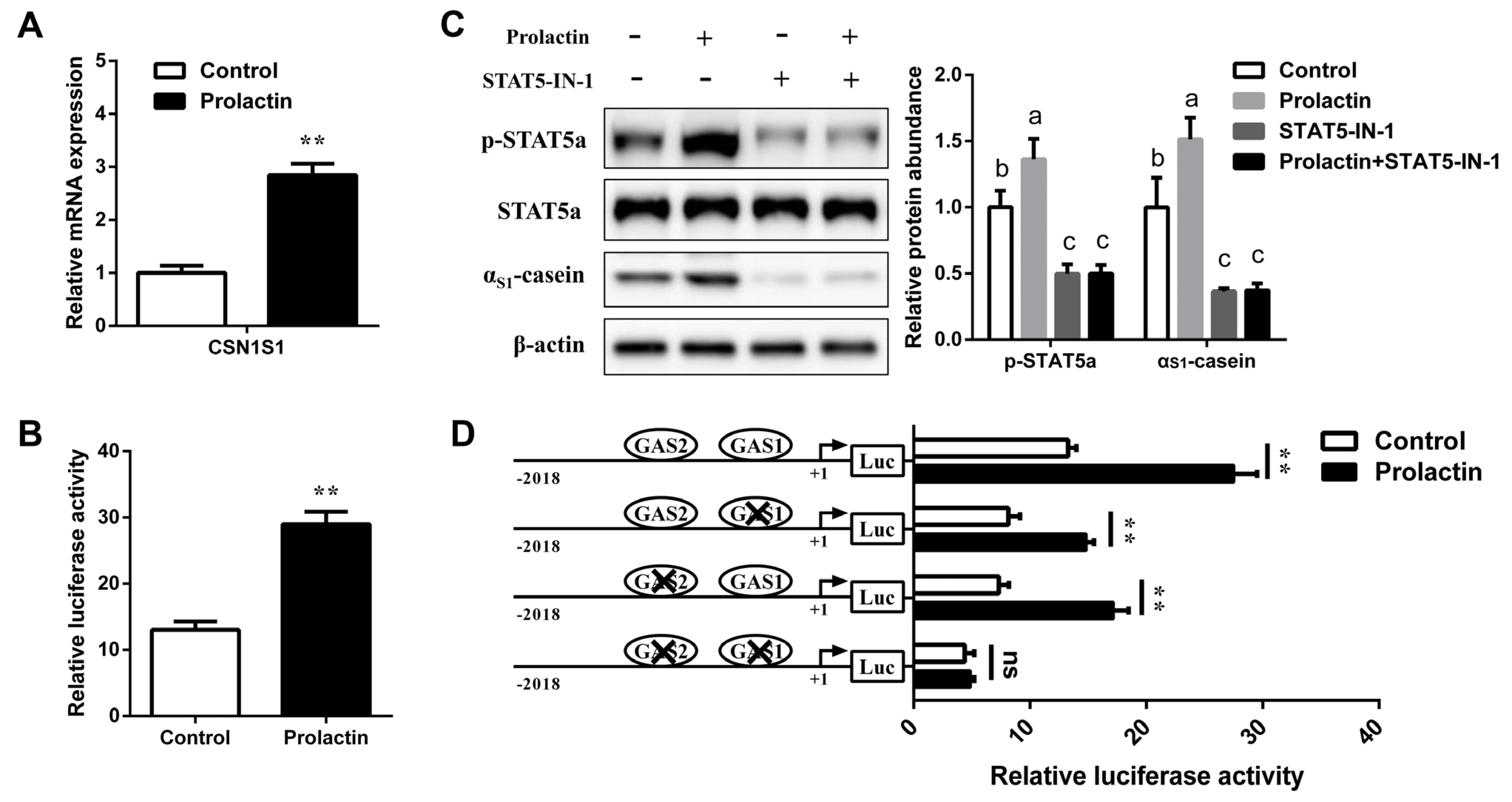 Foods 11 00346 g006 Foods 11 00346 g006