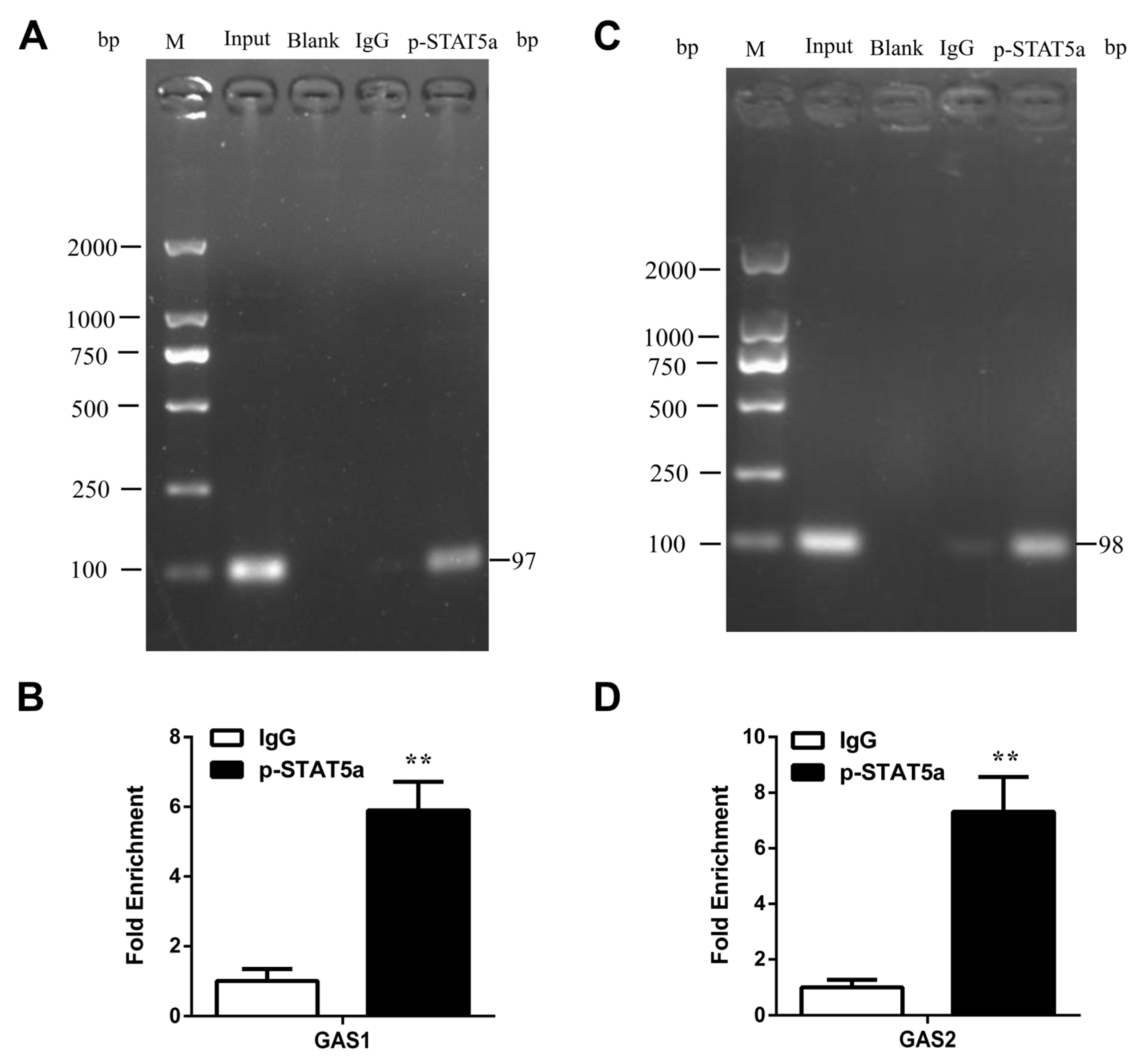 Foods 11 00346 g007 Foods 11 00346 g007