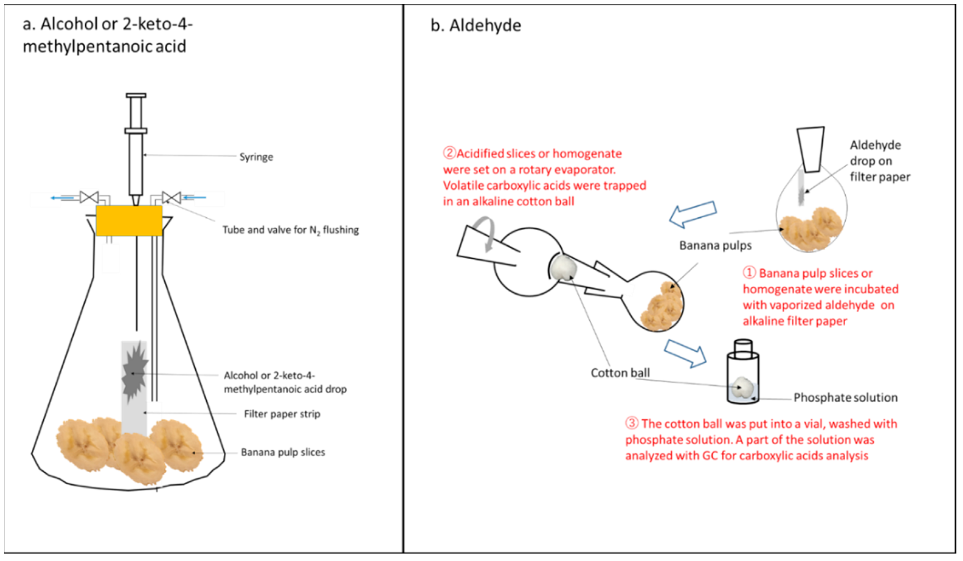 Foods 11 00347 g002 550
