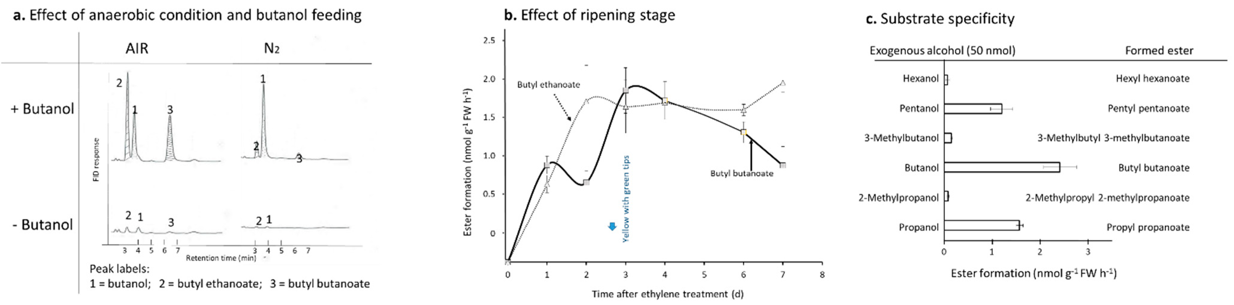 Foods 11 00347 g003 550