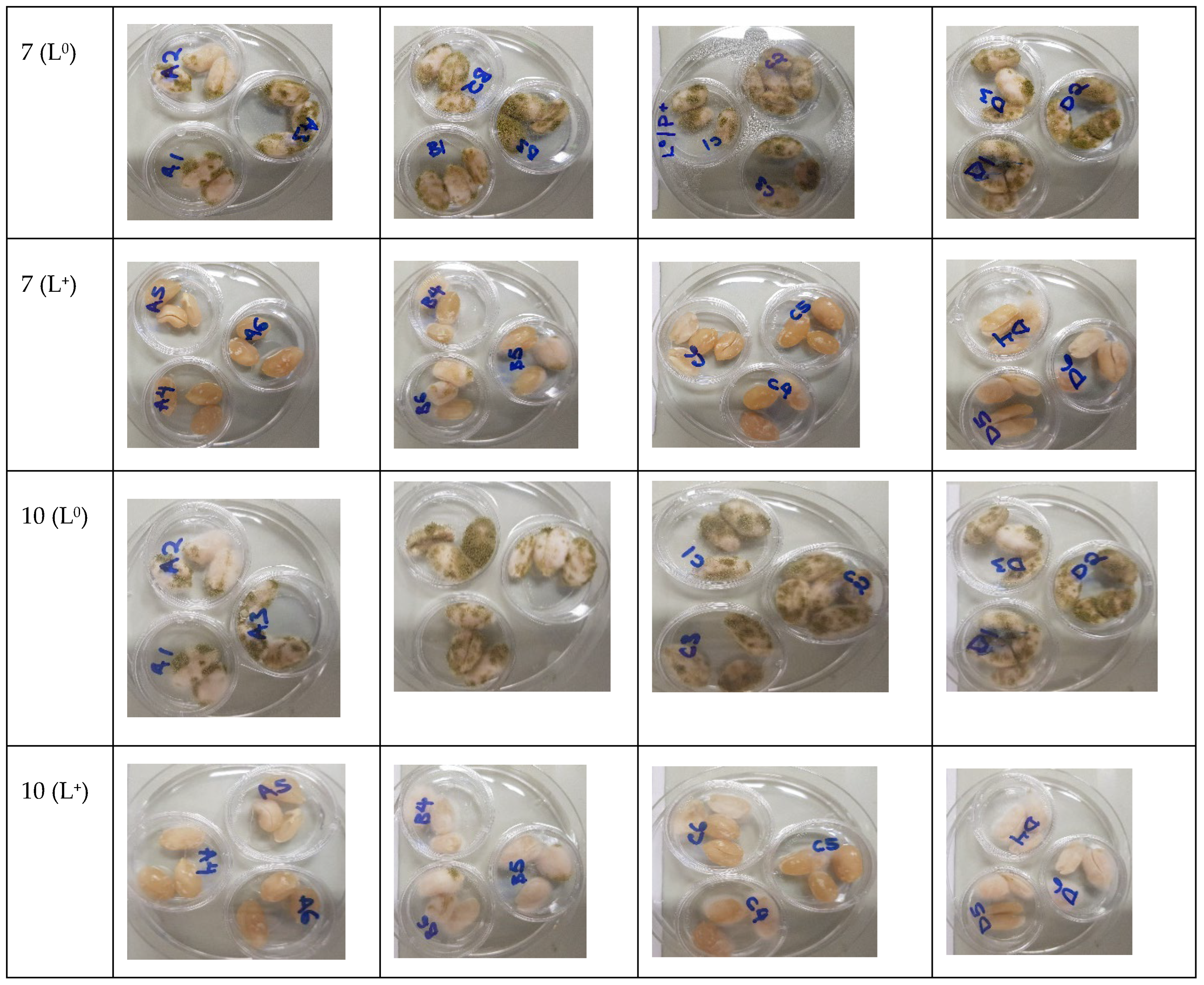 Foods 11 00354 g003b