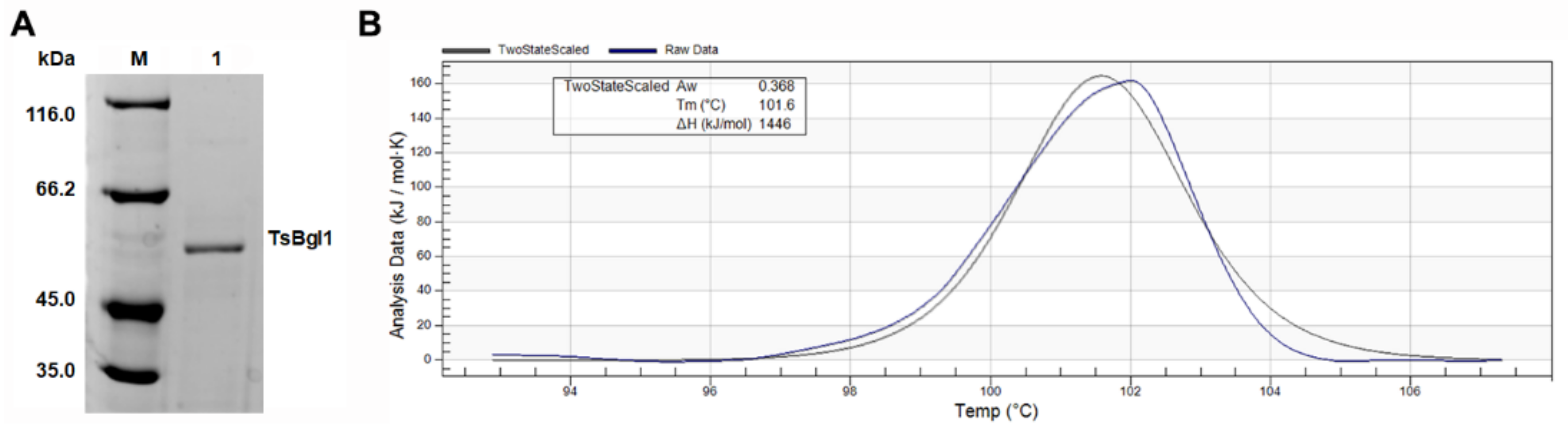 Foods 11 00357 g001 550