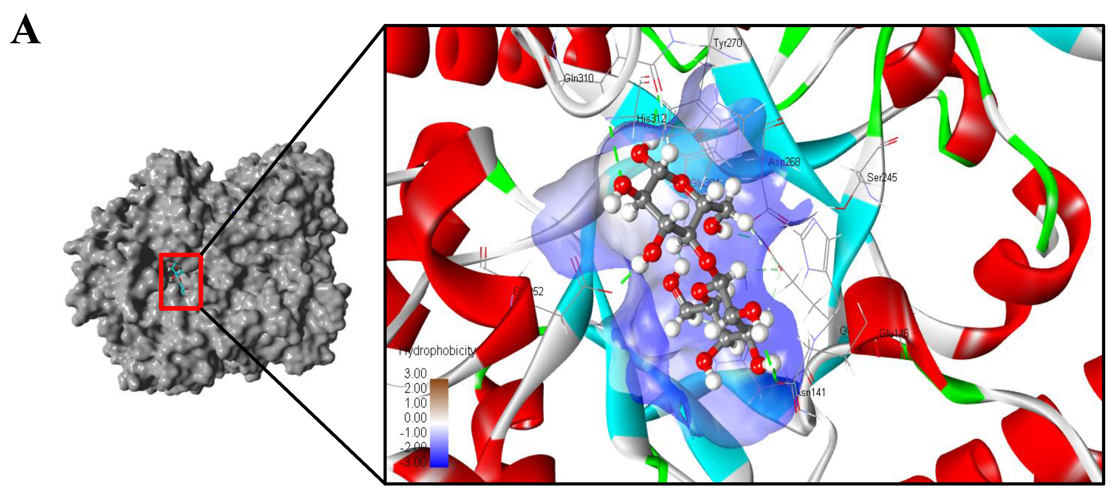 Foods 11 00372 g006a