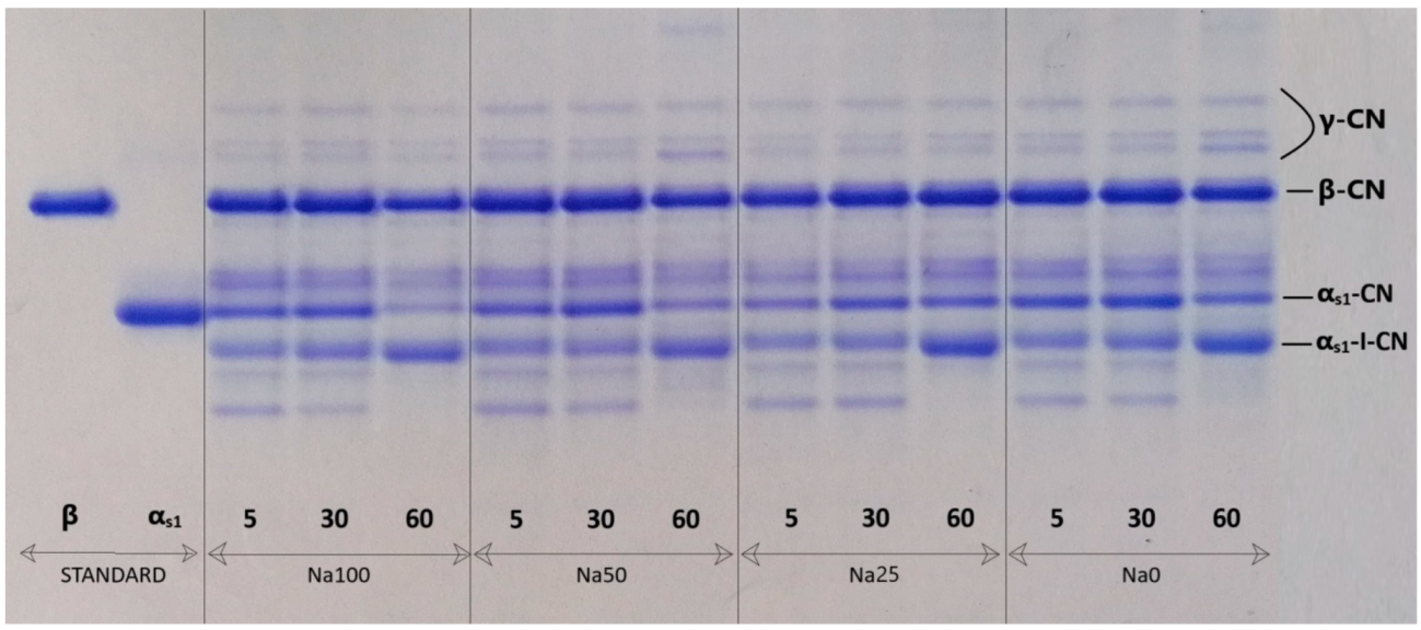 Foods 11 00374 g001 550