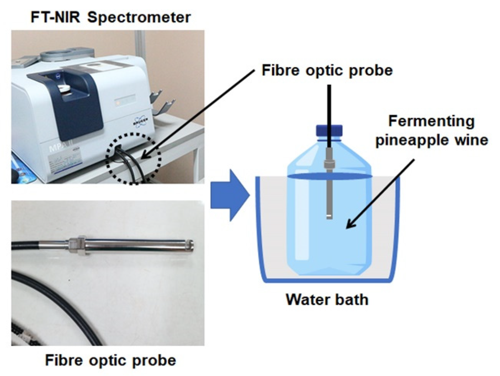 Foods Free FullText Simultaneous Monitoring of the Evolution of