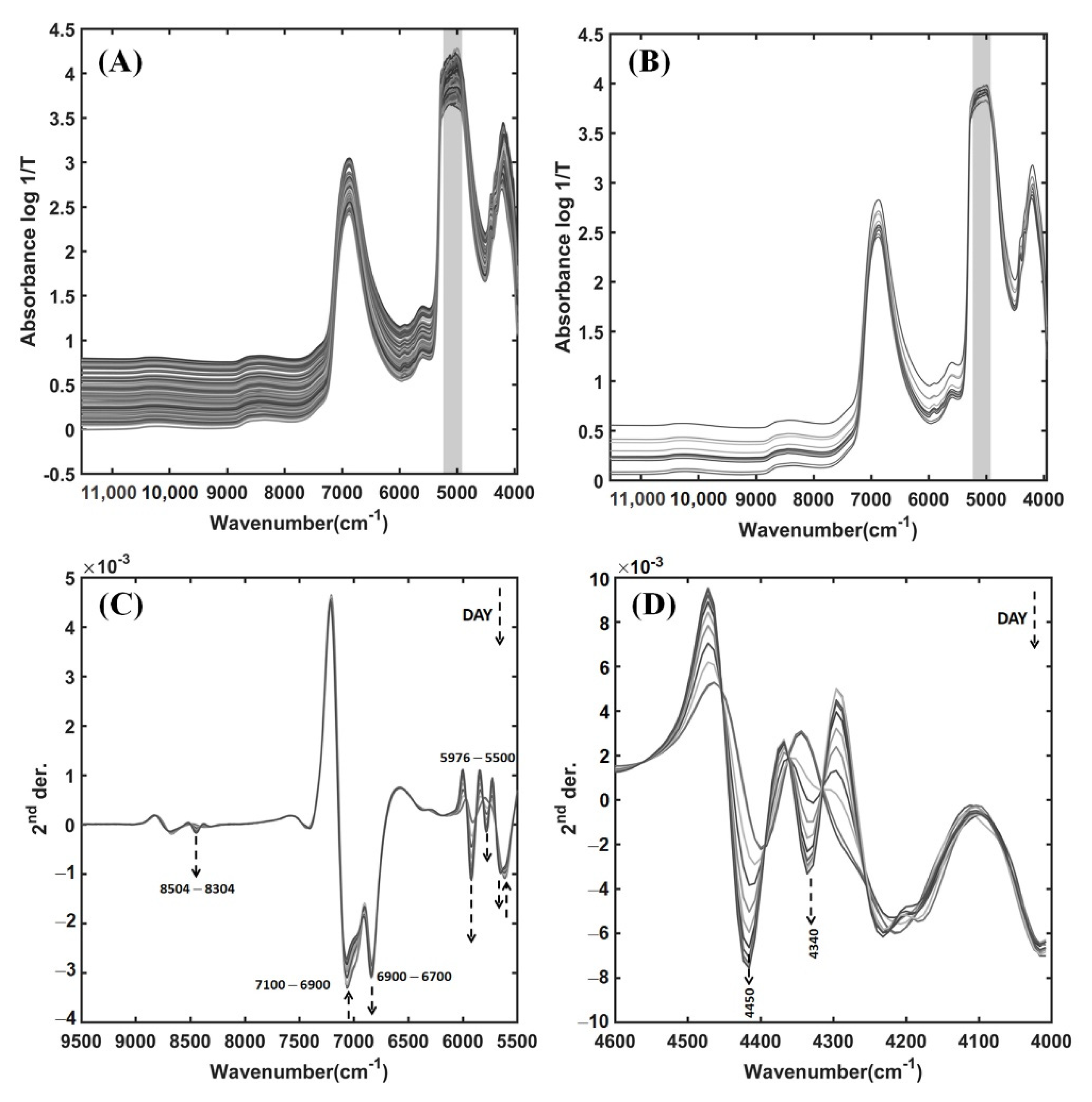 Foods 11 00377 g003 550