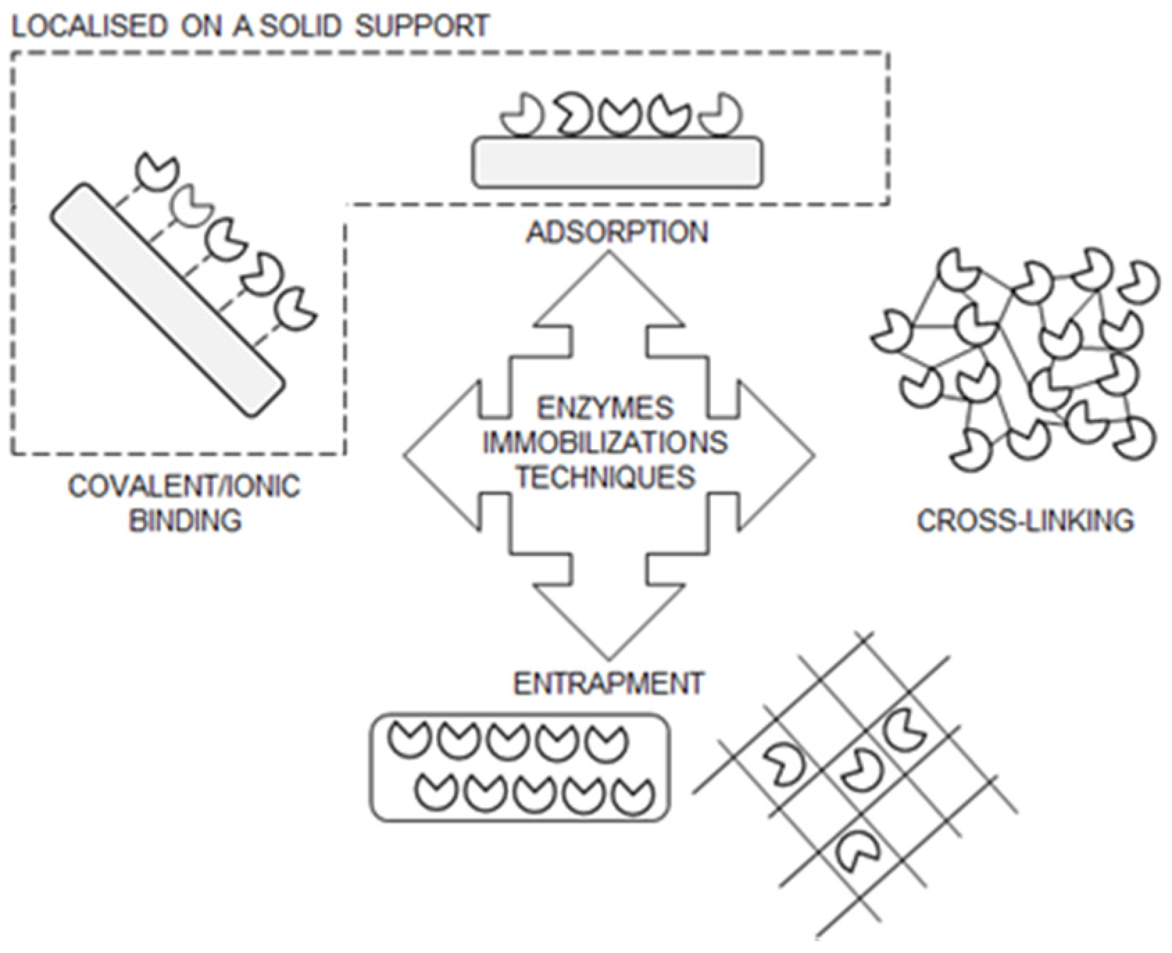 Foods 11 00409 g002 550