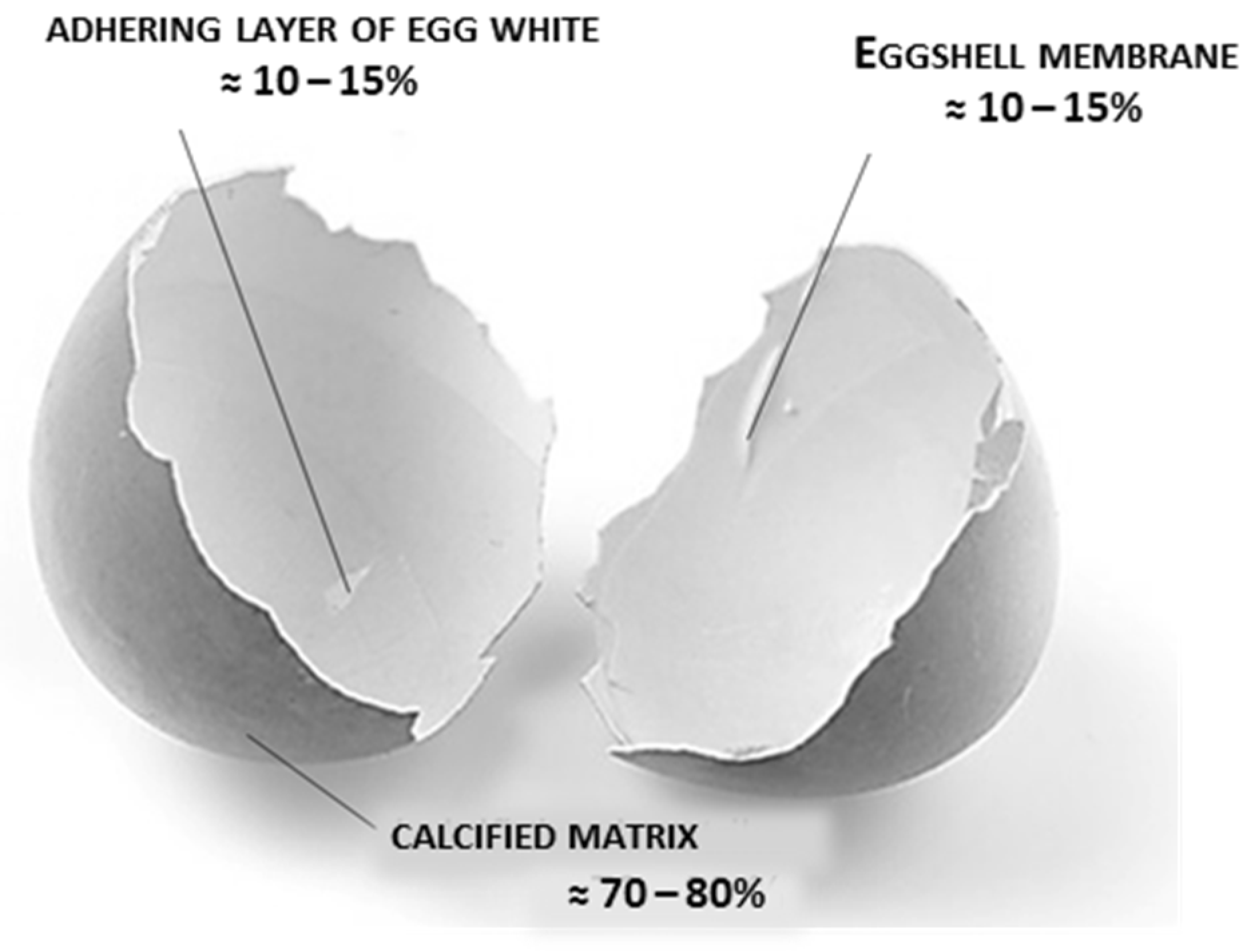 Foods 11 00409 g003 550