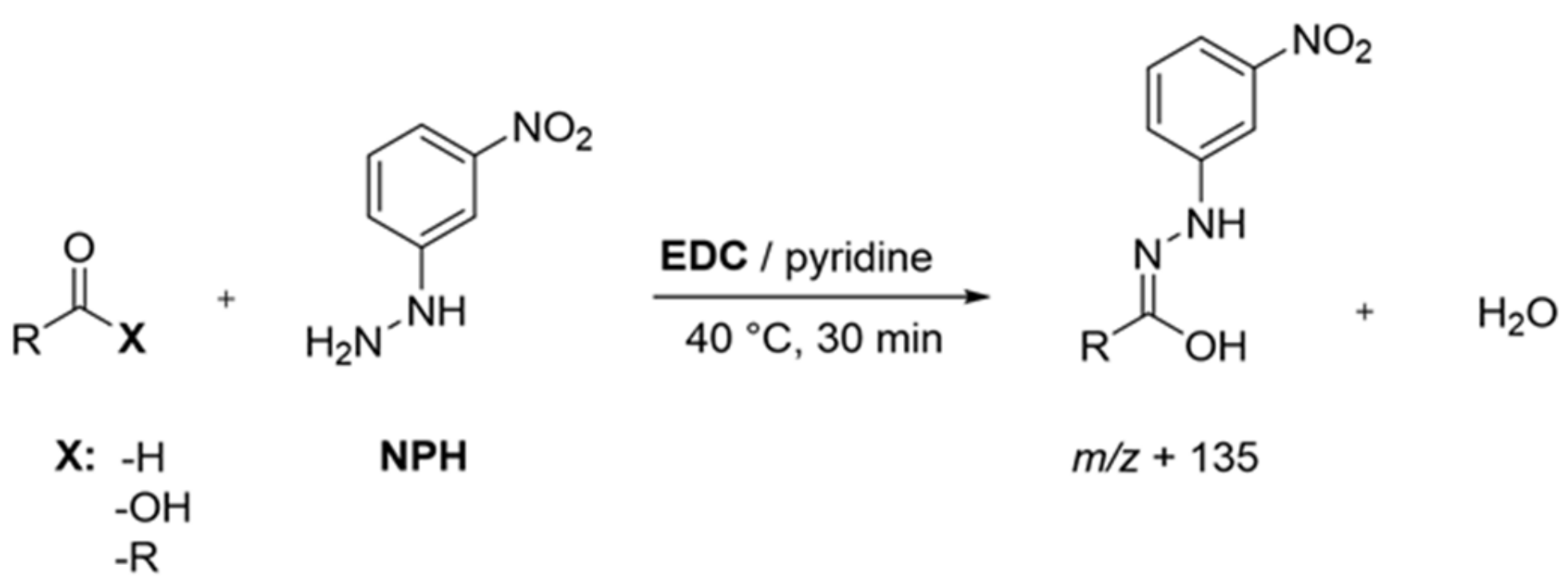 Foods 11 00412 g001 550